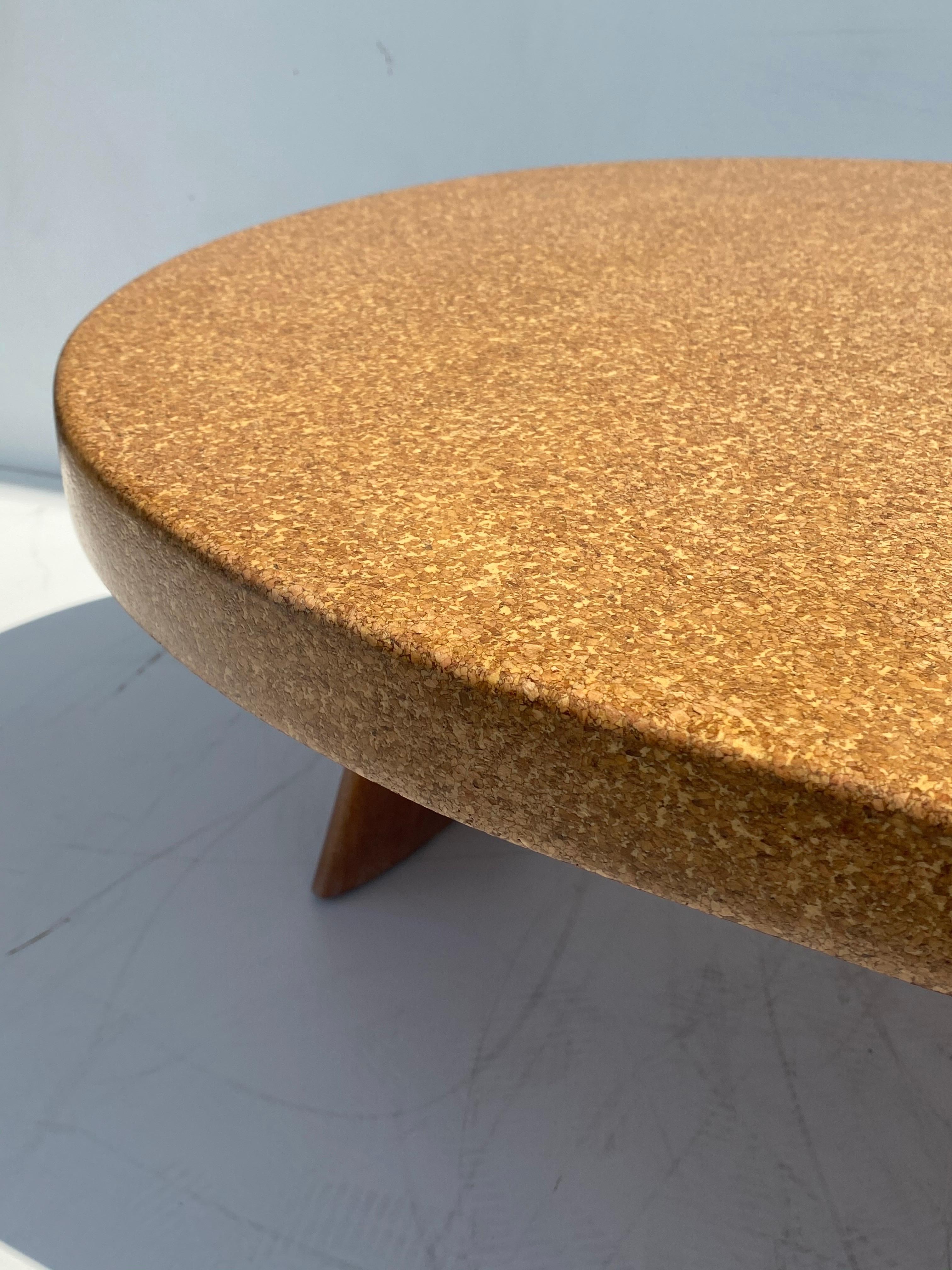 Organic Shape Cork and Mahogany Coffee Table with Planter 4