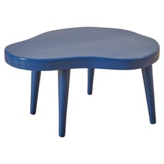 Organic Shaped End Table