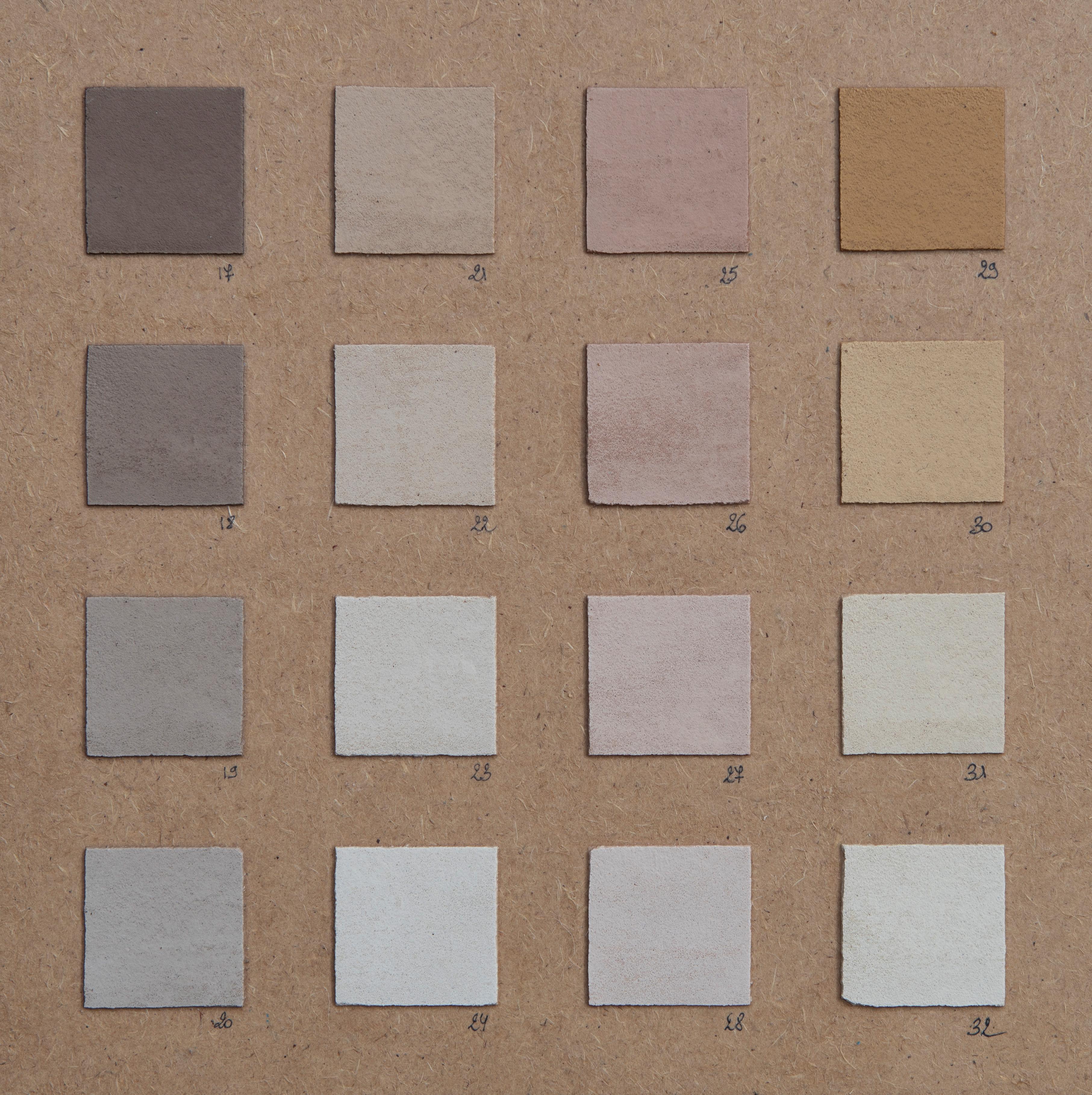 Échantillon de couleur du plâtre naturel de forme organique d'Atelier BB 8