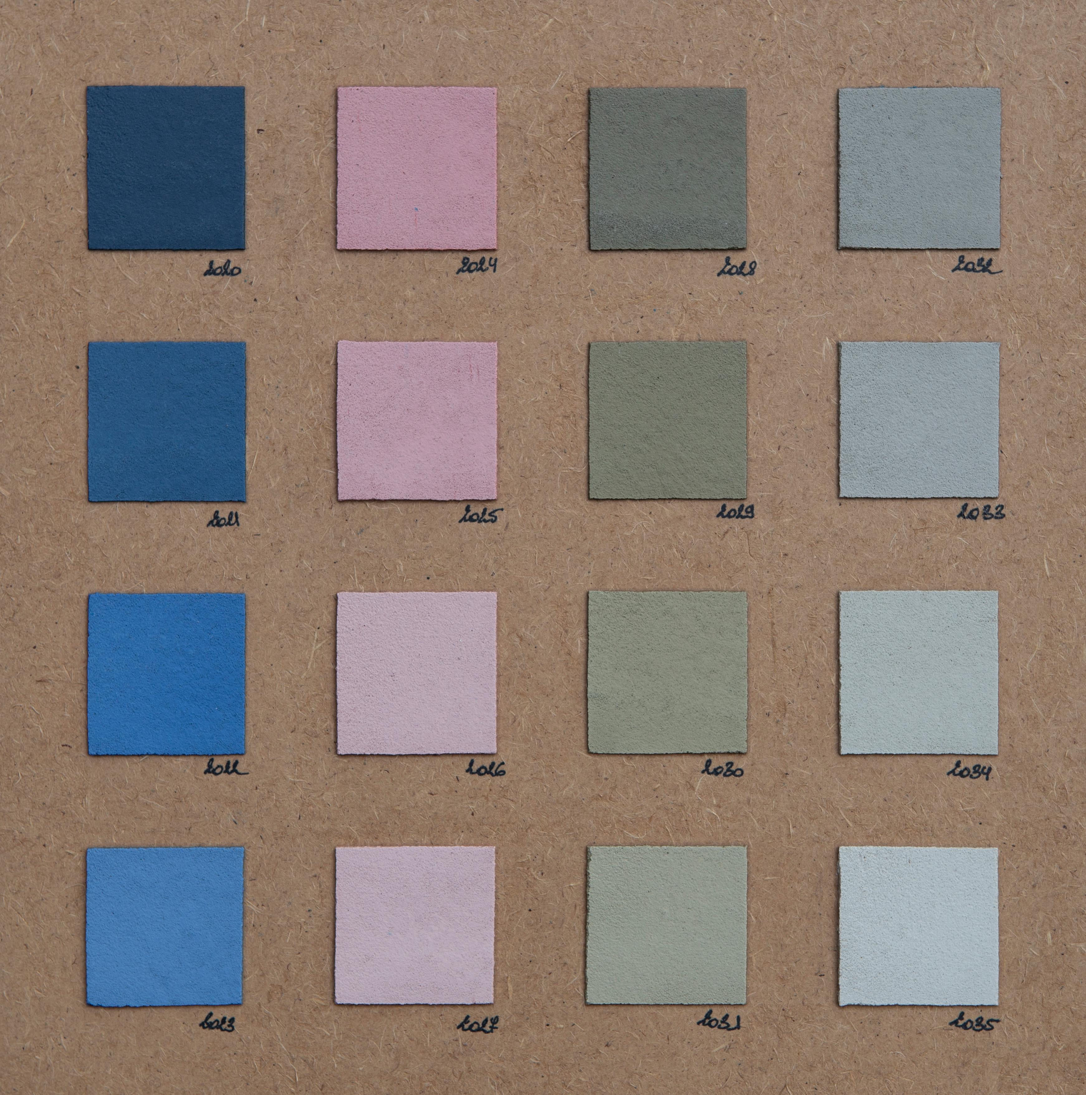 Échantillon de couleur du plâtre naturel de forme organique d'Atelier BB 11