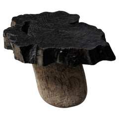 Organic Shaped Side Table