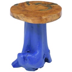 Stained Organic Root Table