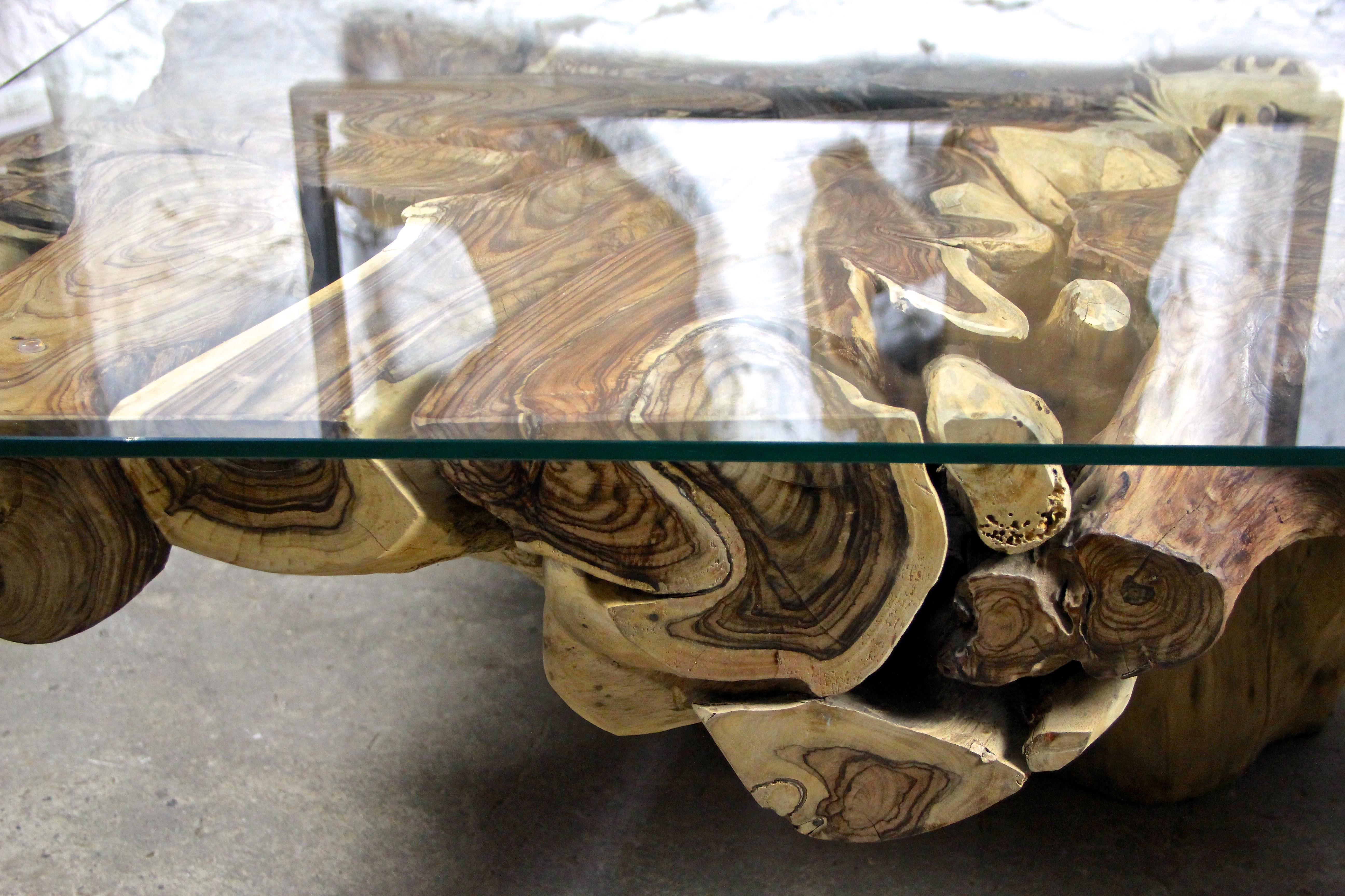 Indonesian Organic Sonokeling Wood Root Table with Safety Glass Table Top