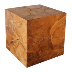 Organic Square Teak Root Side Table, Late 20th Century