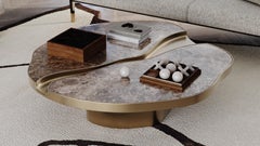 Organic Statement Retiva Coffee Table in Emperador Marble
