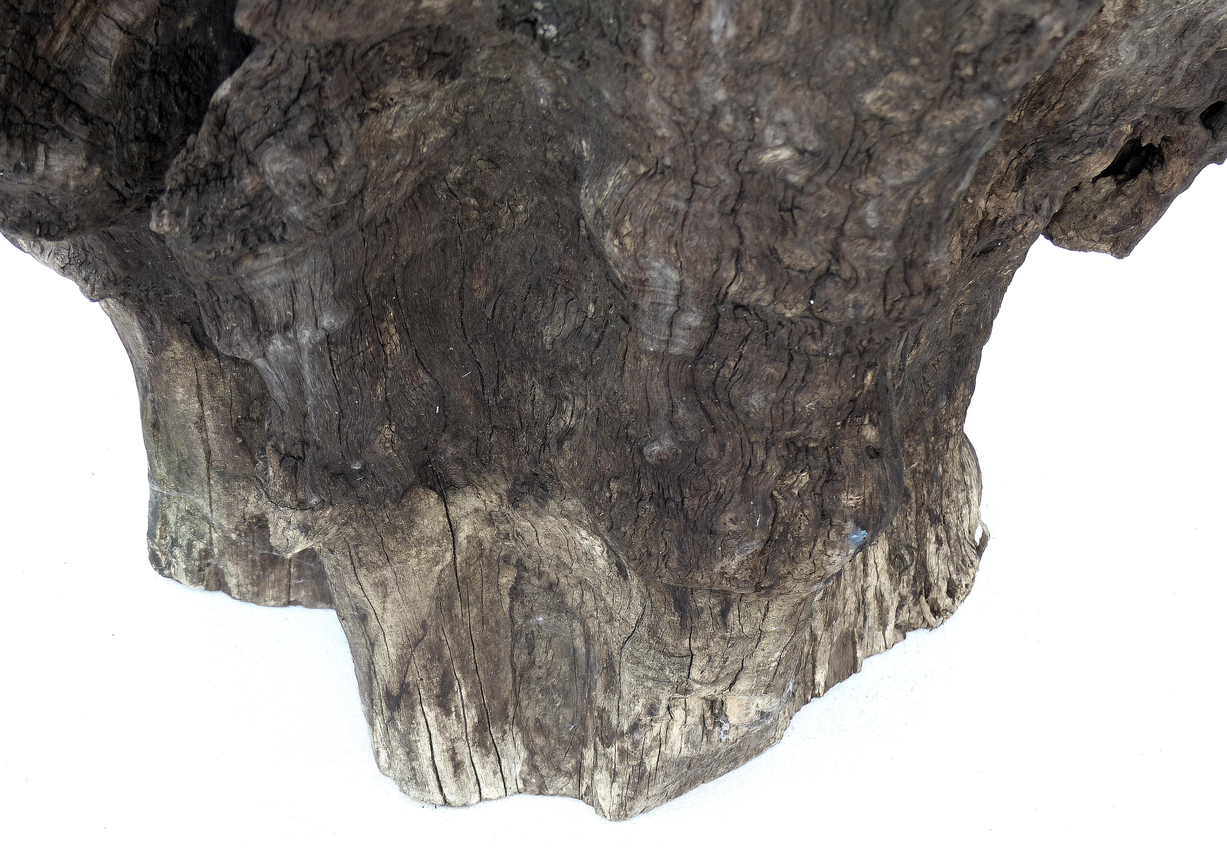 Wood Organic Studio Sculptural Tree Trunk Root Chair from Belgium For Sale
