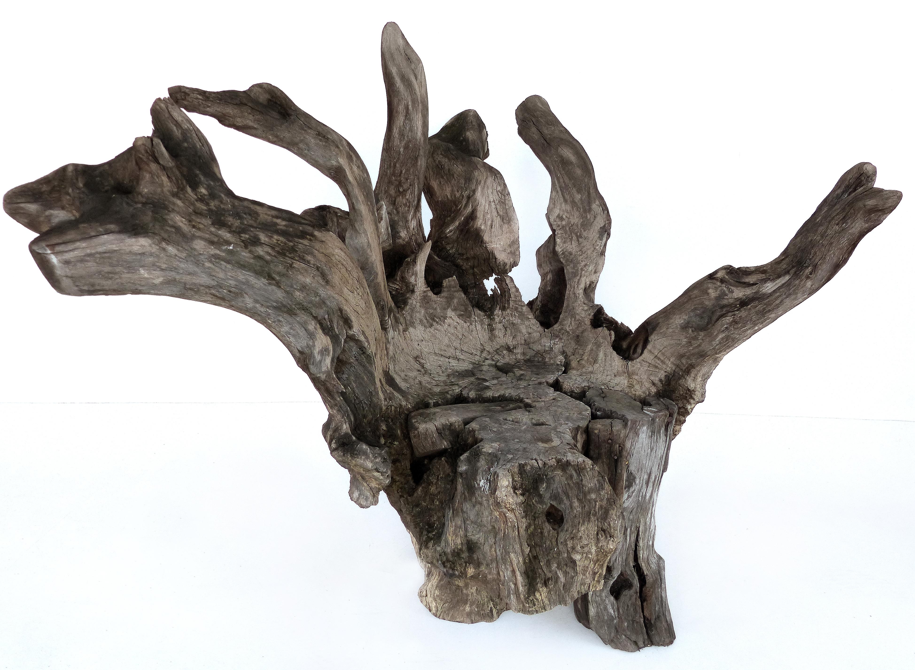 Organic studio sculptural tree trunk root chair from Belgium.

Offered for sale is an organic and rustic artist-crafted sculptural tree trunk wood specimen that has been formed into a seat. The piece was acquired by the previous owner in Belgium.