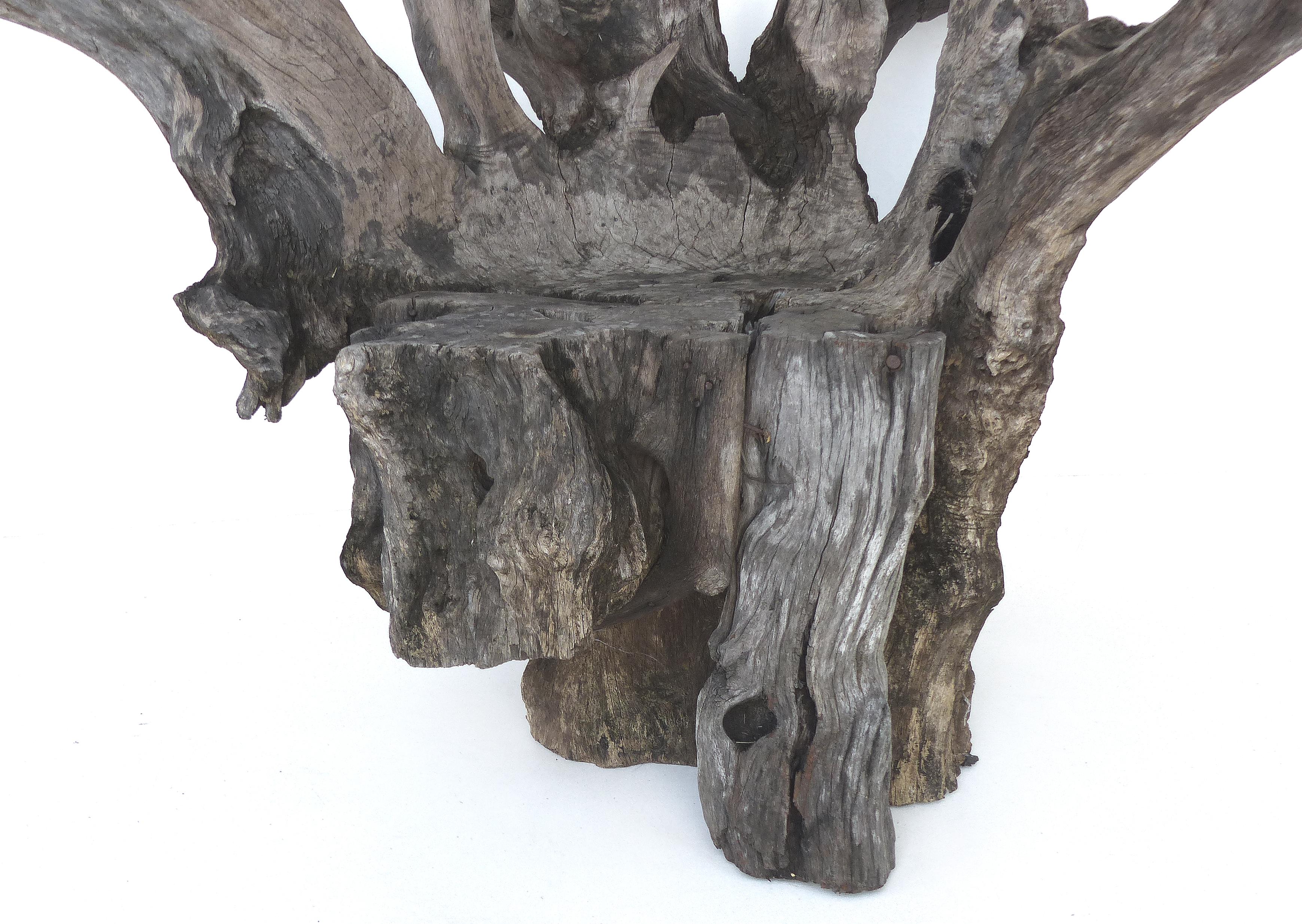 Organic Modern Organic Studio Sculptural Tree Trunk Root Chair from Belgium For Sale