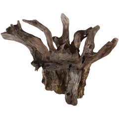 Organic Studio Sculptural Tree Trunk Root Chair from Belgium