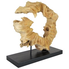 Organic Table Sculpture "Circle Of Life" Teak Root on Black Wooden Stand