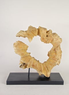 Organic Table Sculpture "Circle Of Life" Teak Root on Black Wooden Stand