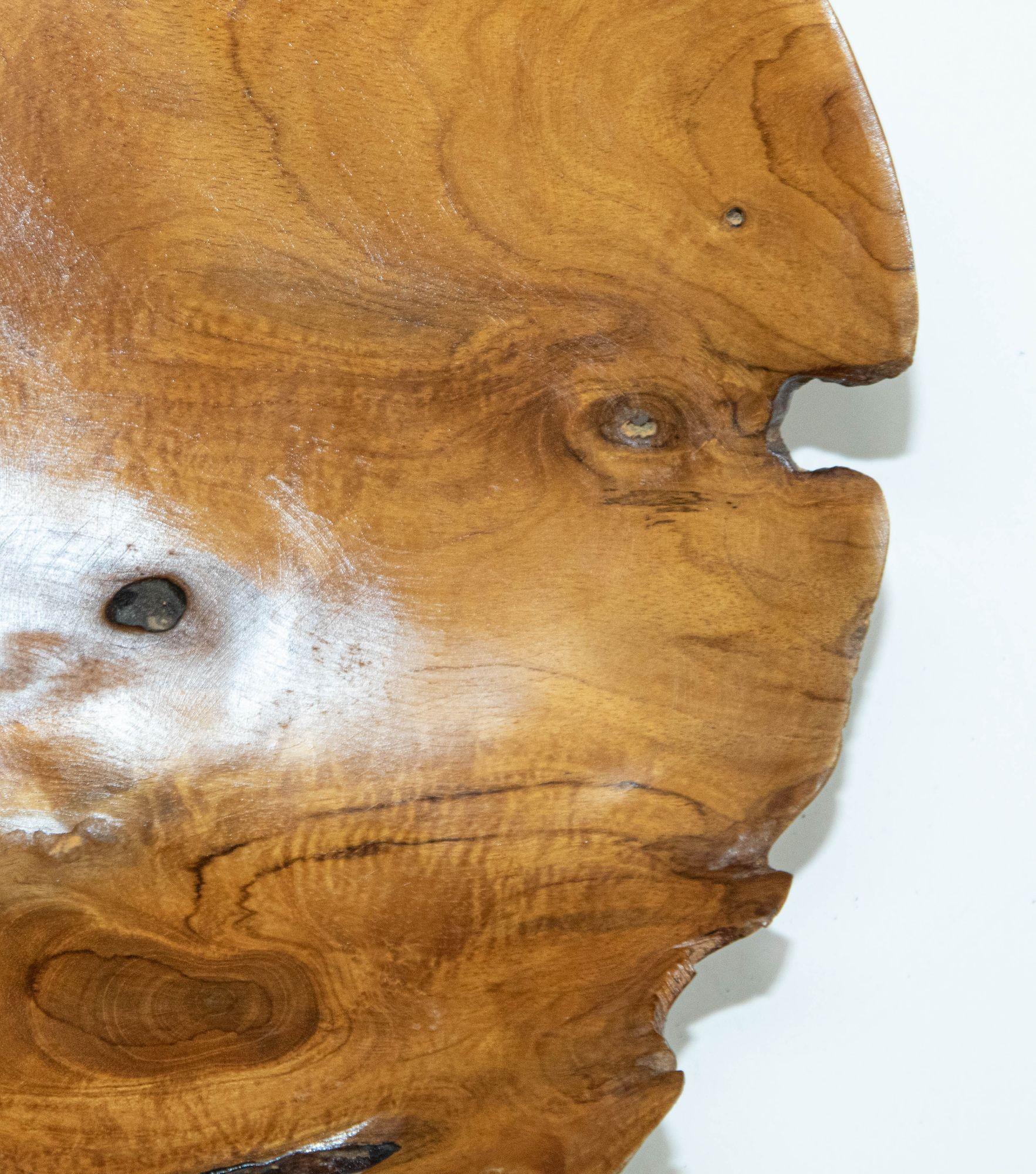 Organic Teak Burl Wood Bowl Natural Free Form Live Edge Sculptural Root Vessel 1