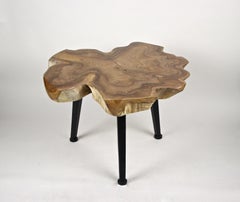 Organic Teak Root Coffee or Sofa Table on Black Metal Feet, 2021