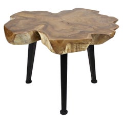 Organic Teak Root Coffee or Sofa Table on Black Metal Feet, 2021