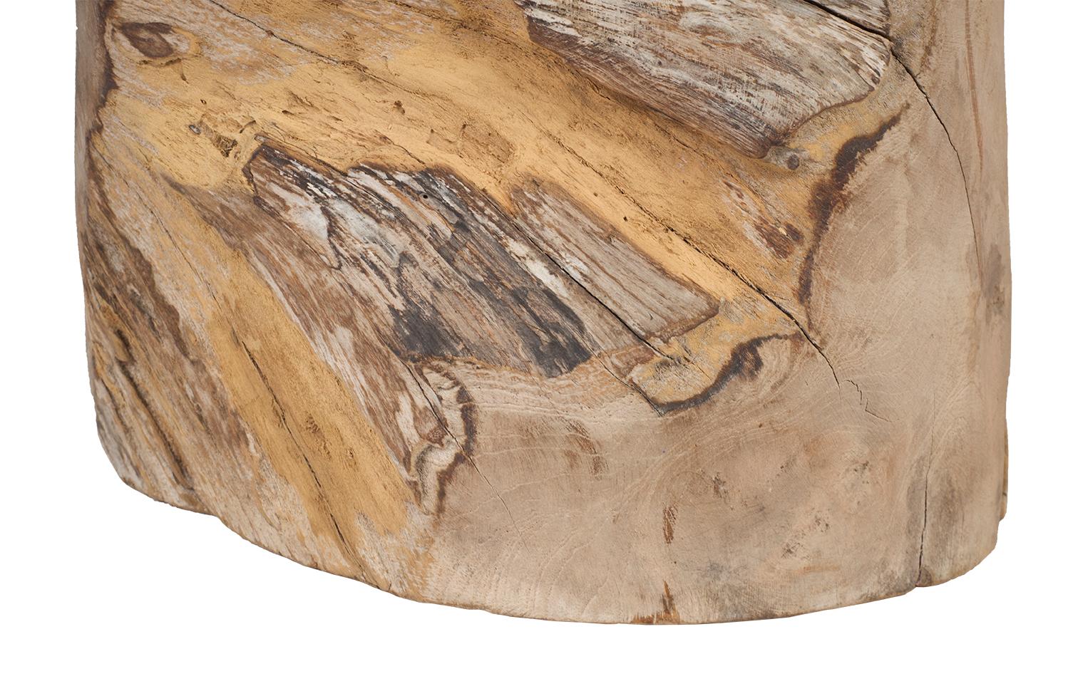 20th Century Organic Teak Side Table