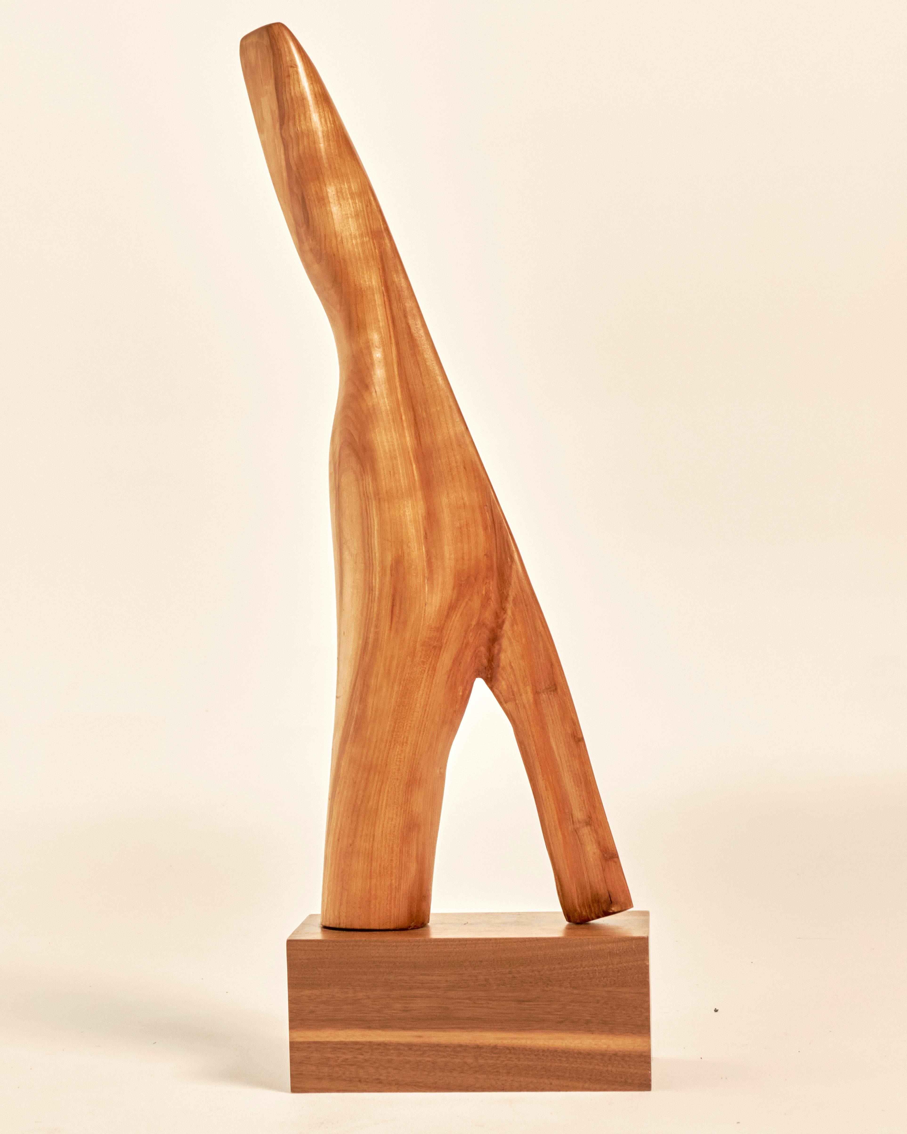 Artista sconosciuto, anni '60. Scultura astratta dalla forma biomorfa ricavata da un solido pezzo di legno di teak. Montato su una base in legno di teak. Recentemente restaurata, in condizioni eccellenti