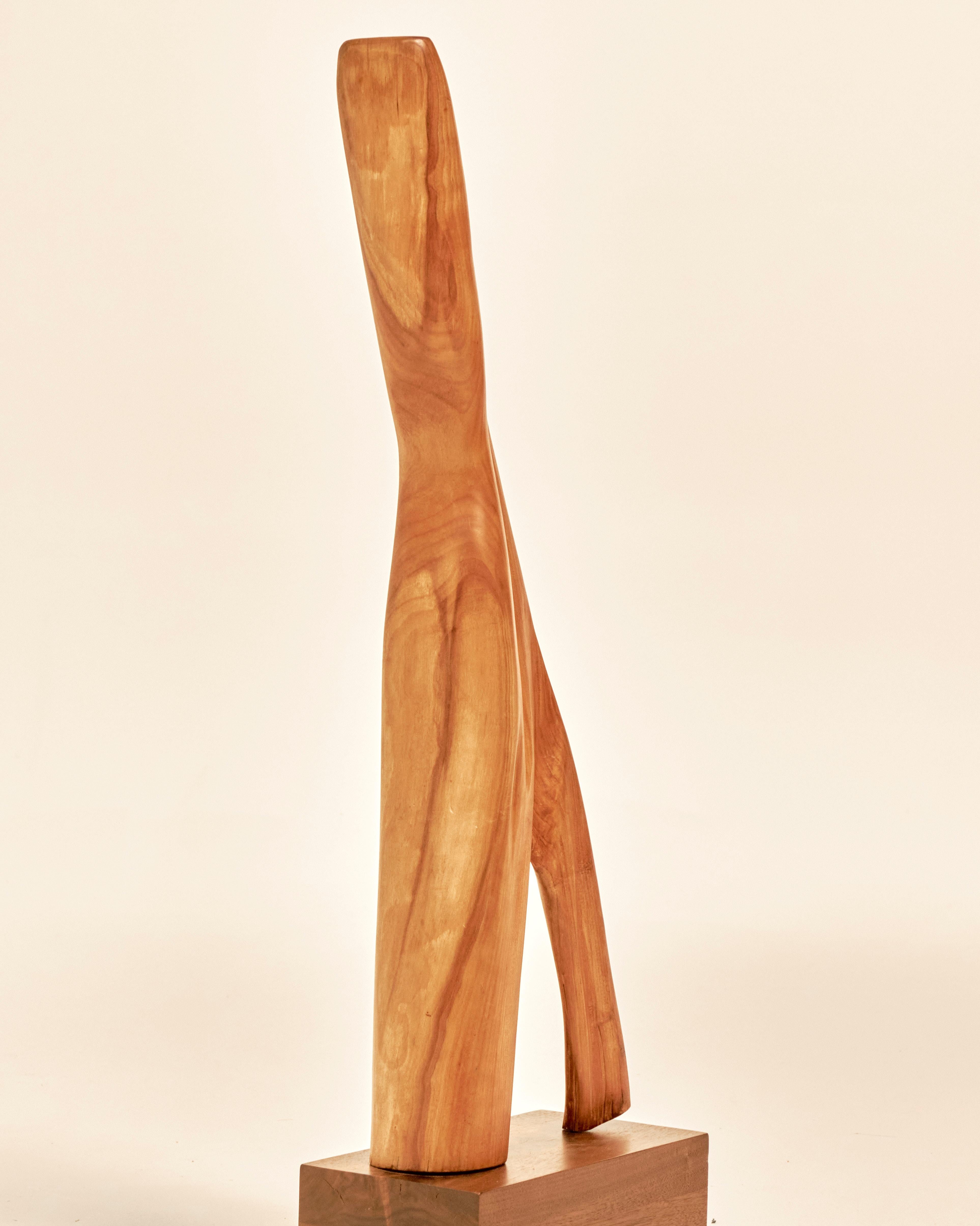 Scultura astratta organica in piedi in legno di teak In condizioni buone in vendita a Brooklyn, NY
