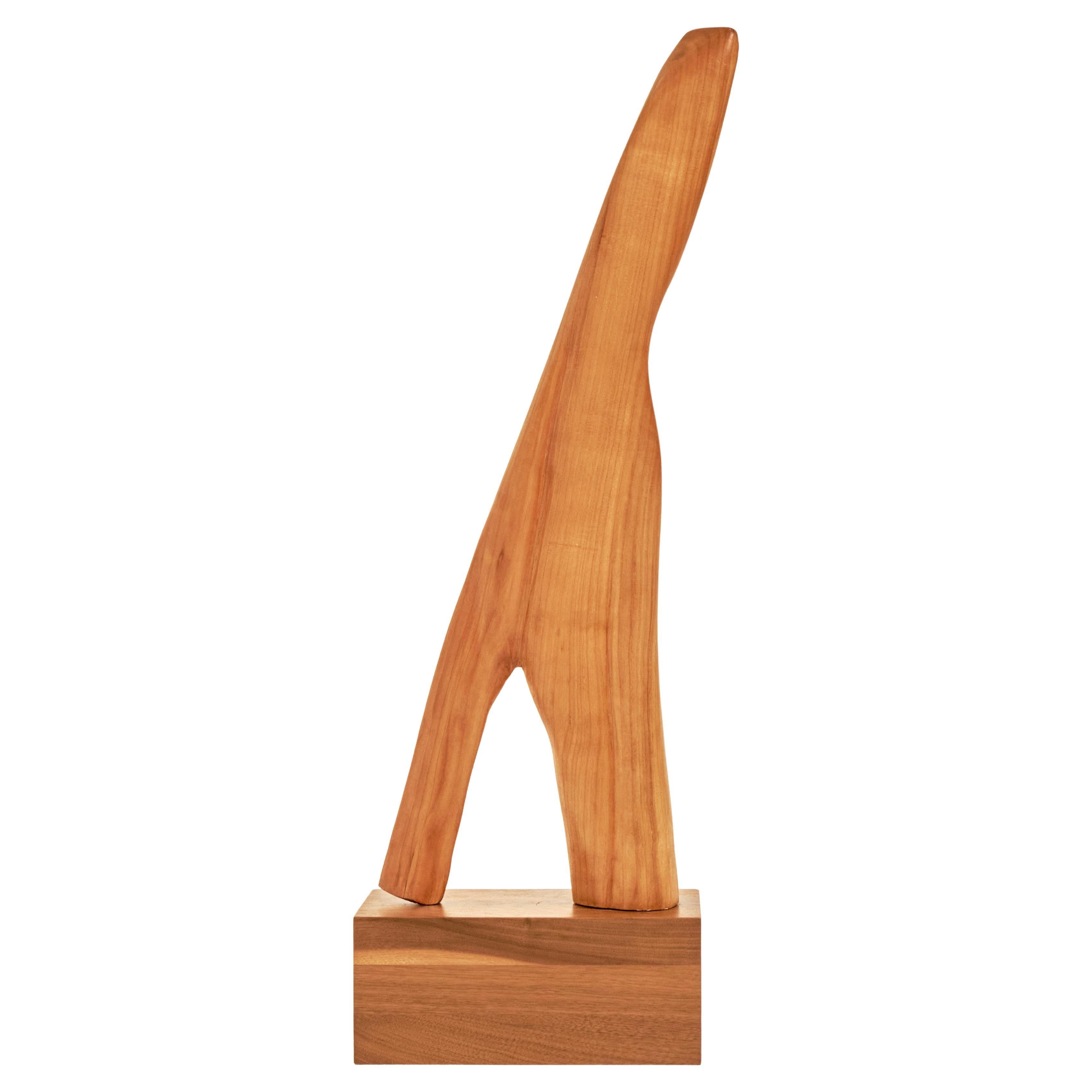 Scultura astratta organica in piedi in legno di teak in vendita