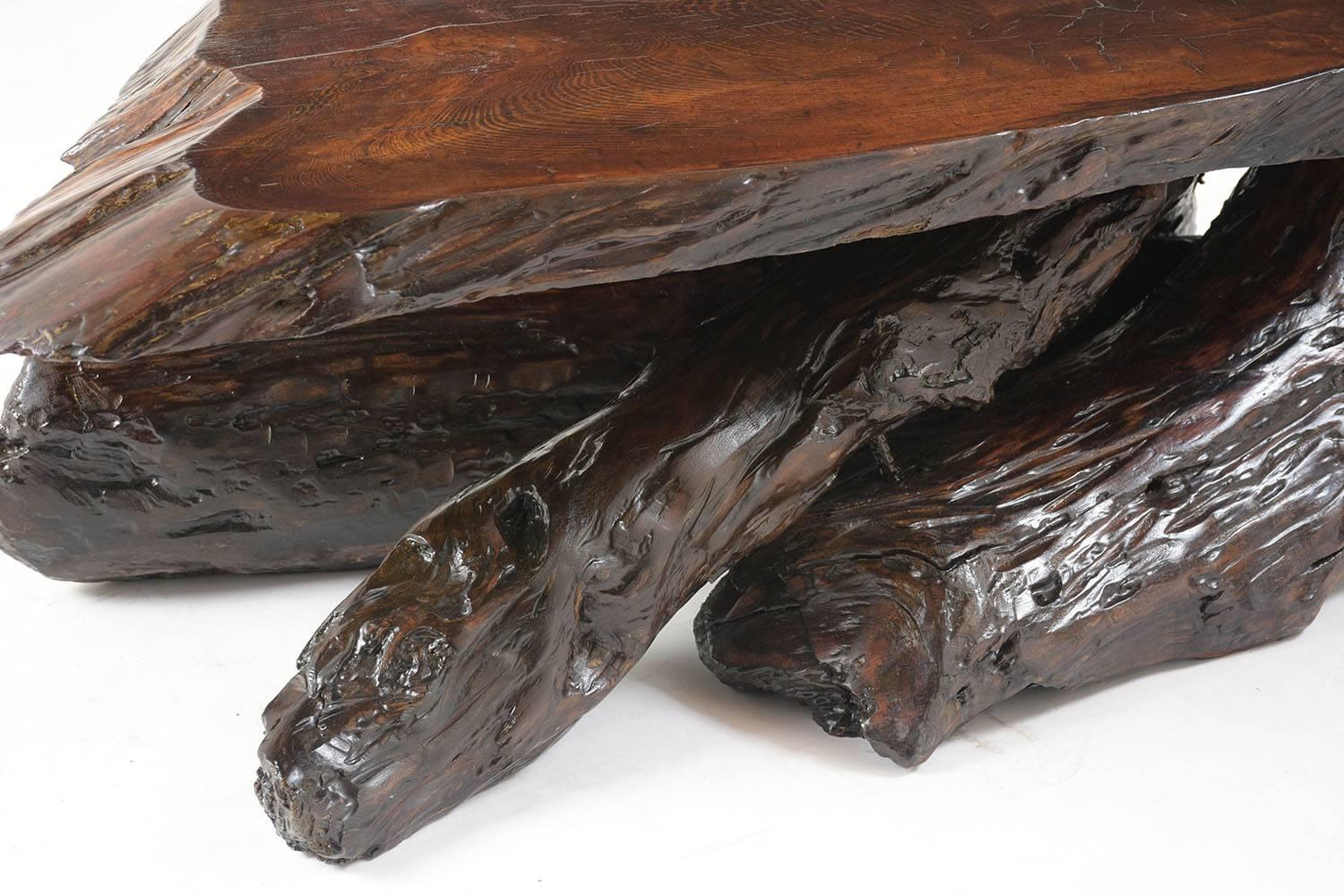 Table basse en racines d'arbre biologique 3