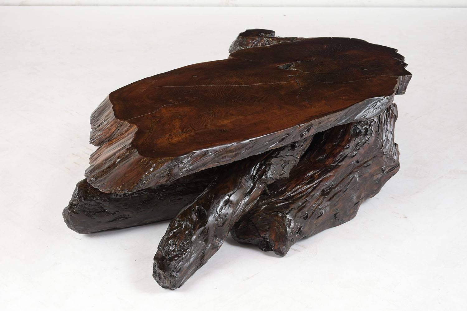20ième siècle Table basse en racines d'arbre biologique