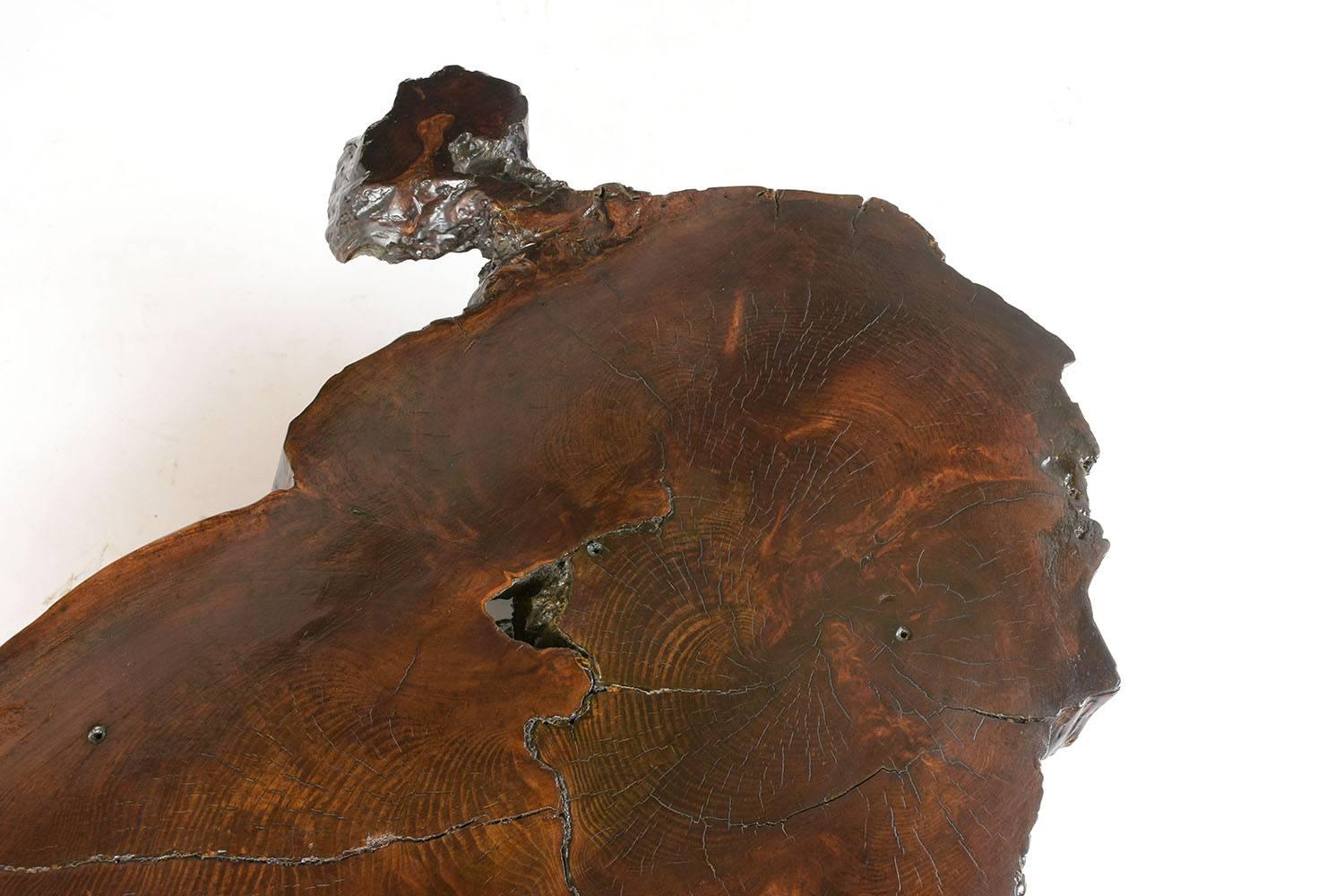 Table basse en racines d'arbre biologique 1