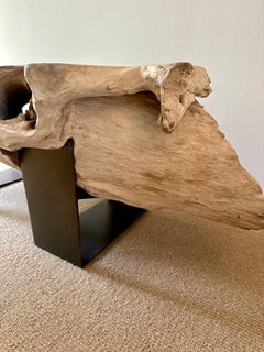 Organic Tree Trunk & Iron Bench