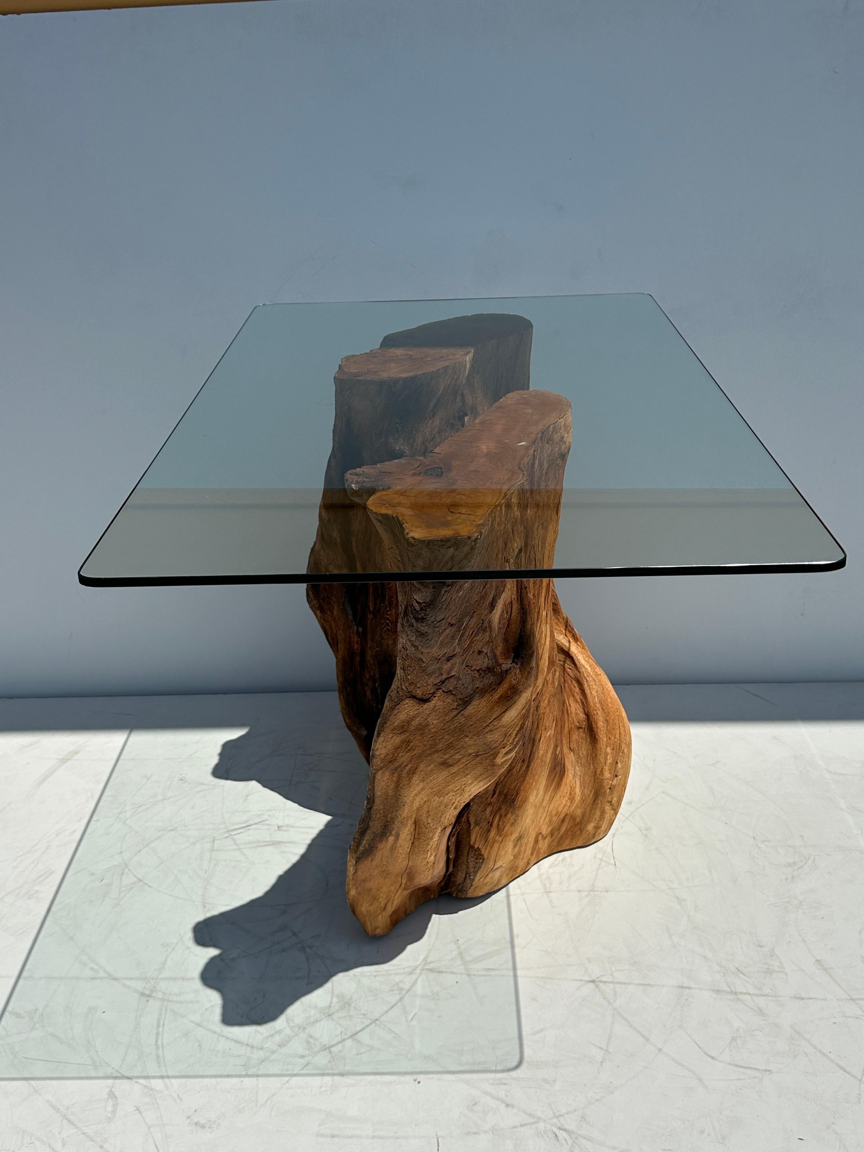 Organic Tree Trunk / Root Console Table For Sale 3