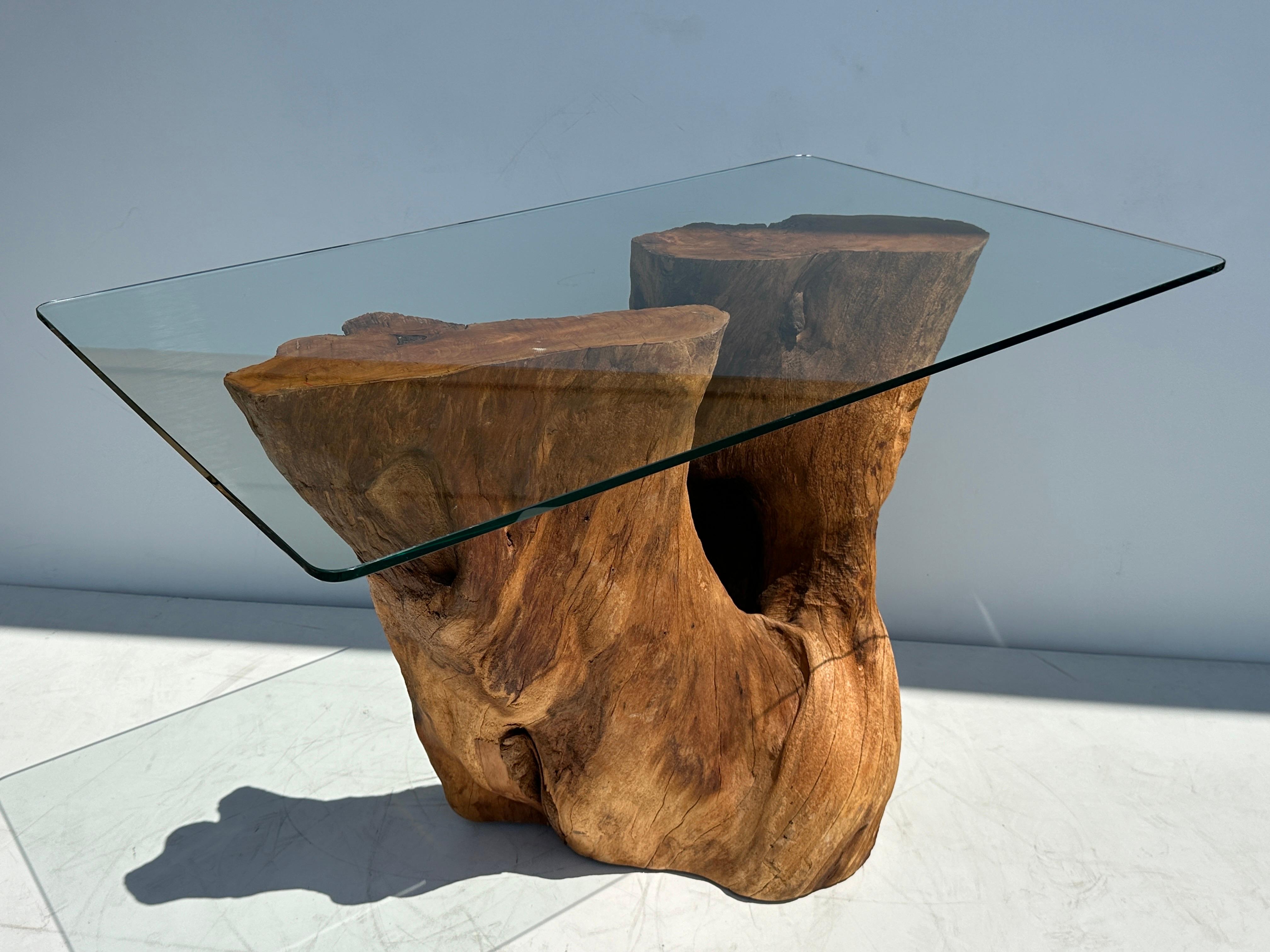Organic Tree Trunk / Root Console Table For Sale 4