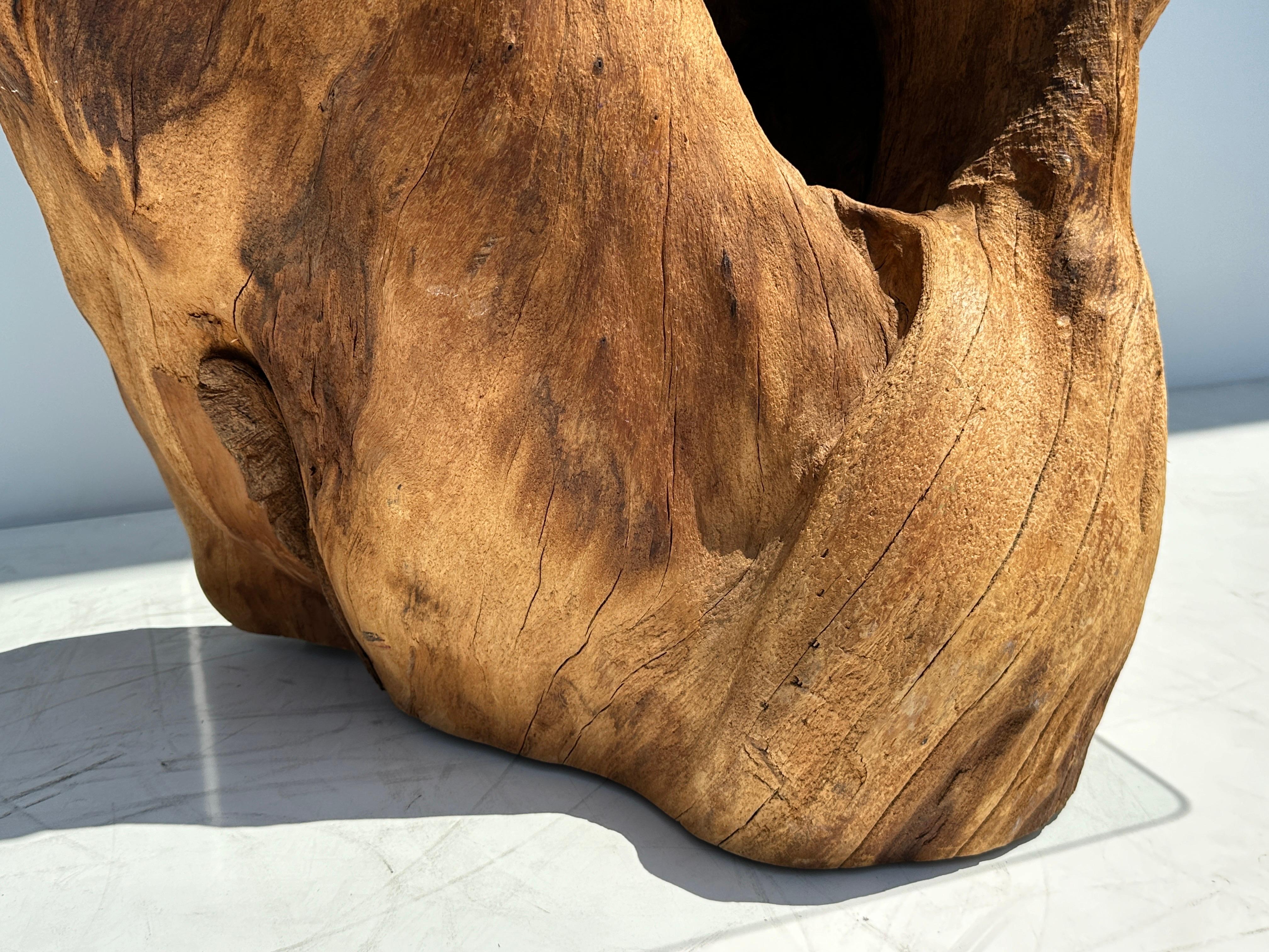 Organic Tree Trunk / Root Console Table For Sale 5
