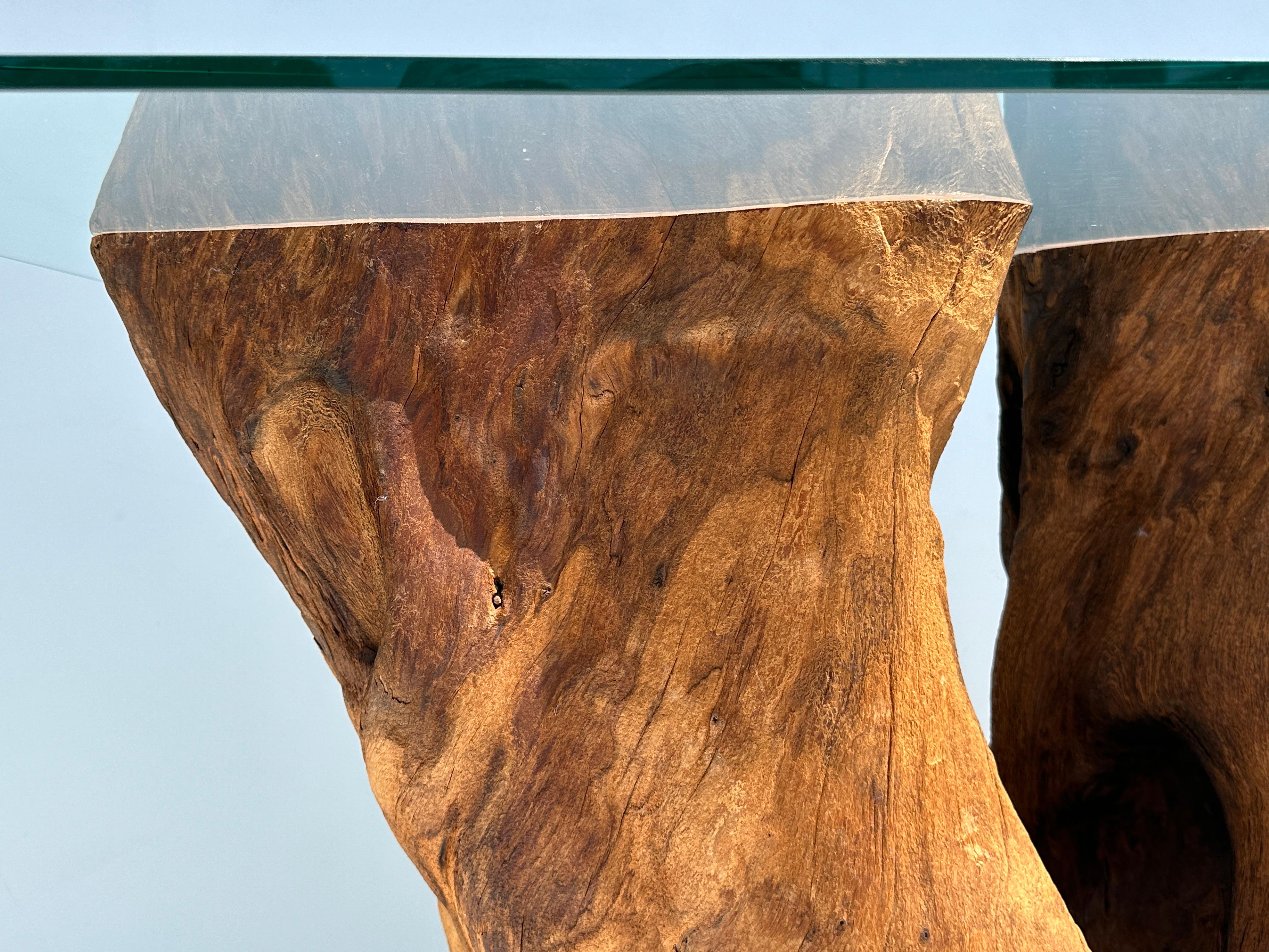 Organic Tree Trunk / Root Console Table For Sale 6