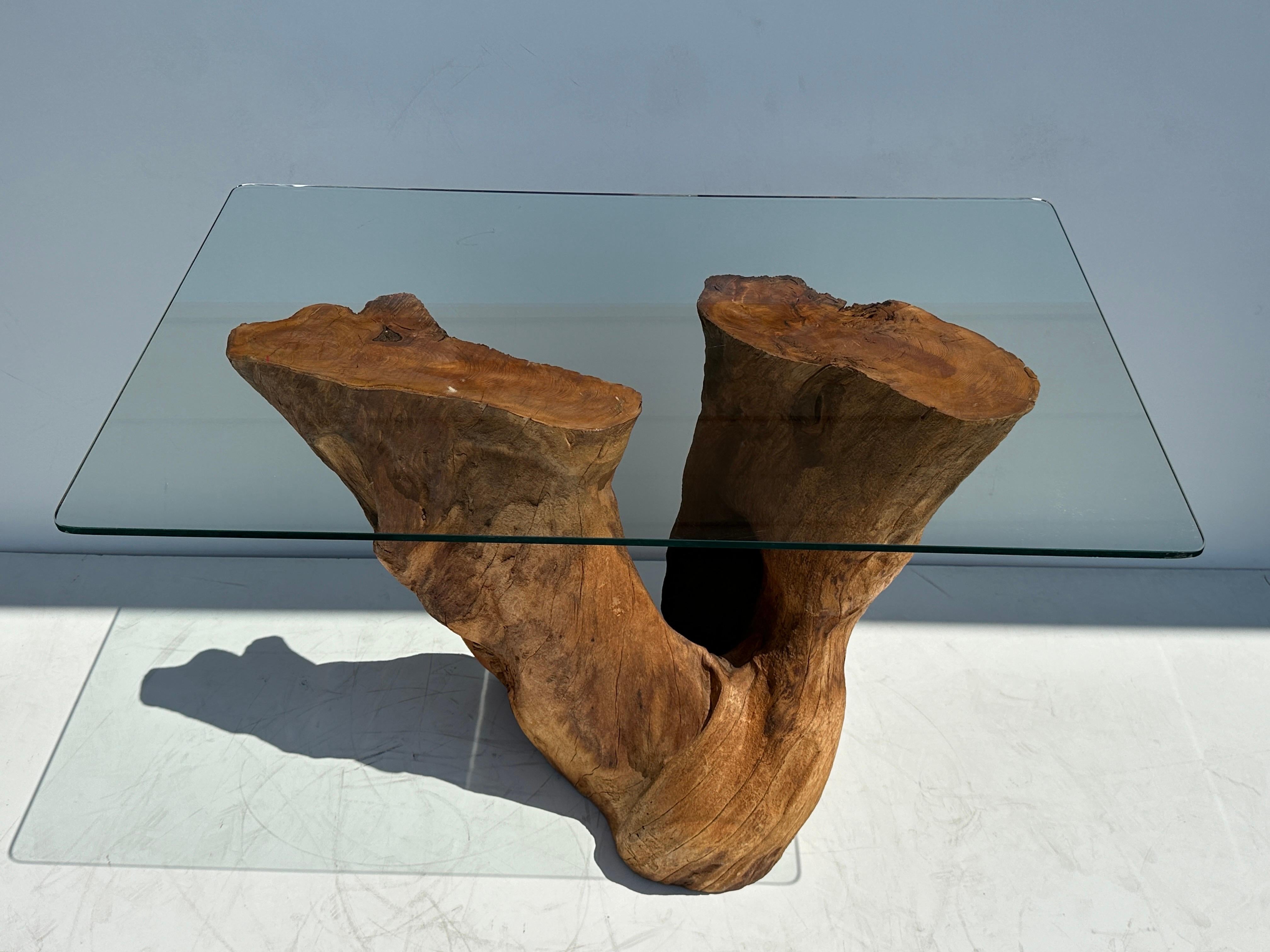 Mid-Century Modern Organic Tree Trunk / Root Console Table For Sale
