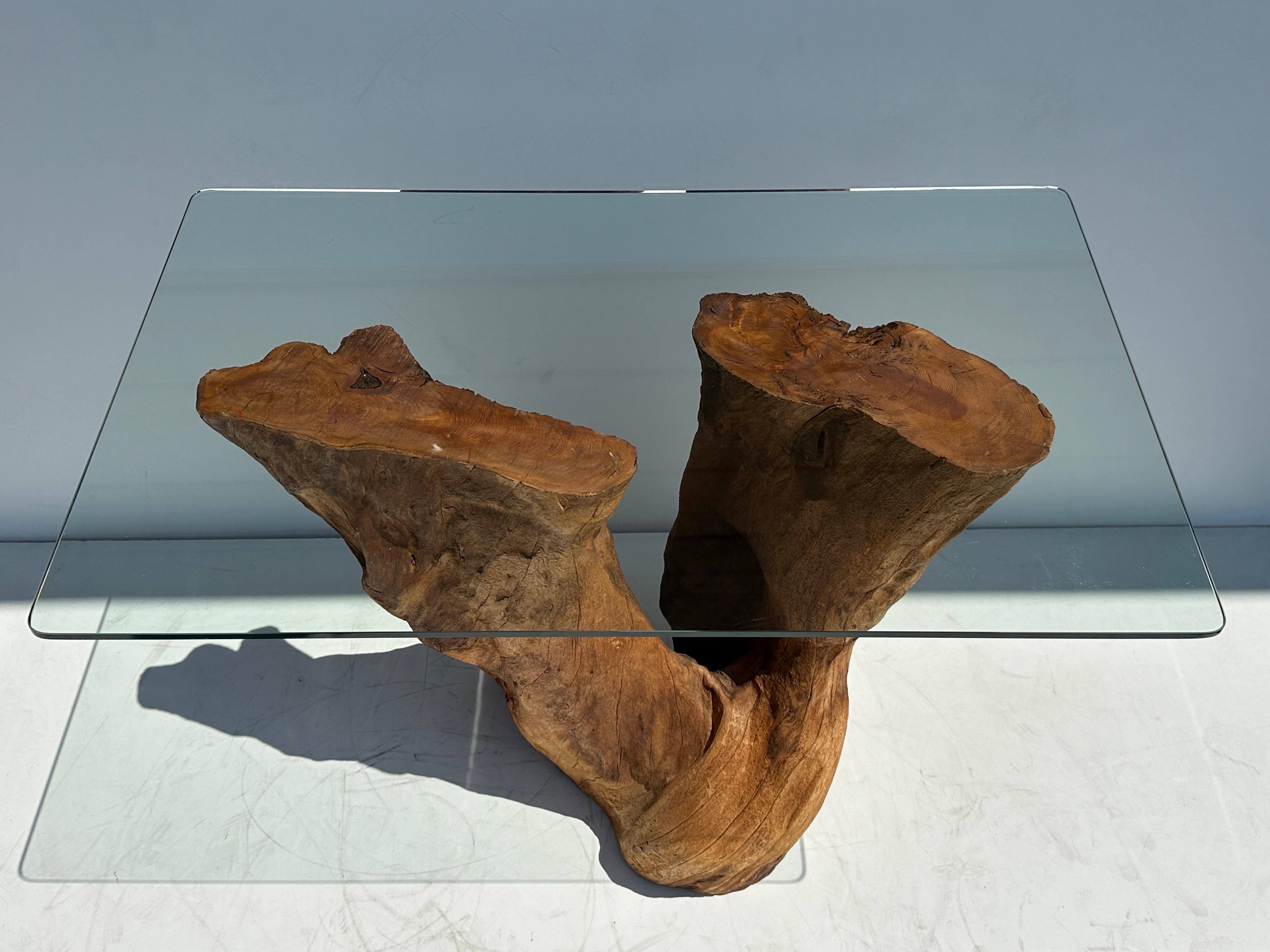 American Organic Tree Trunk / Root Console Table For Sale