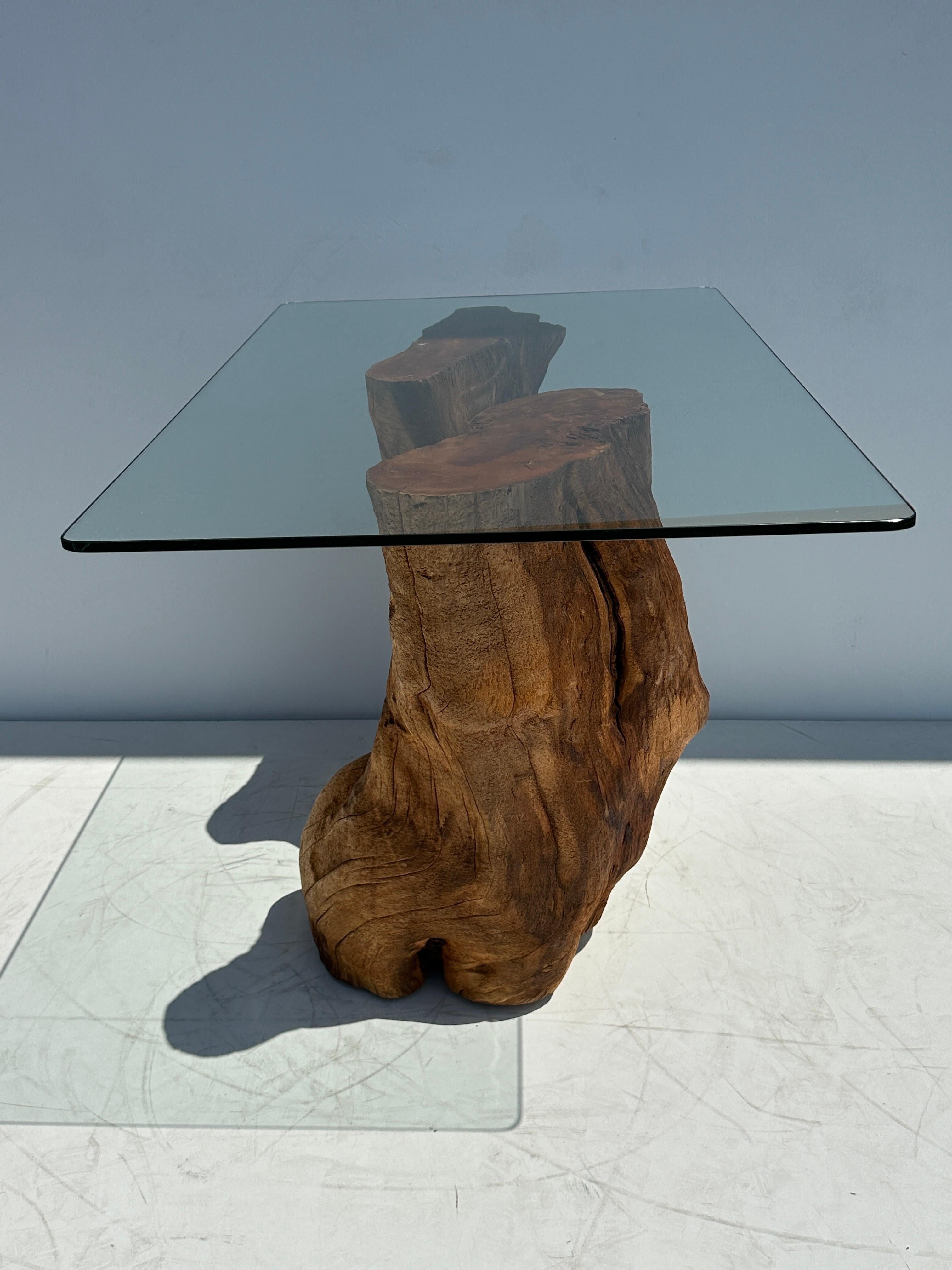 Late 20th Century Organic Tree Trunk / Root Console Table For Sale