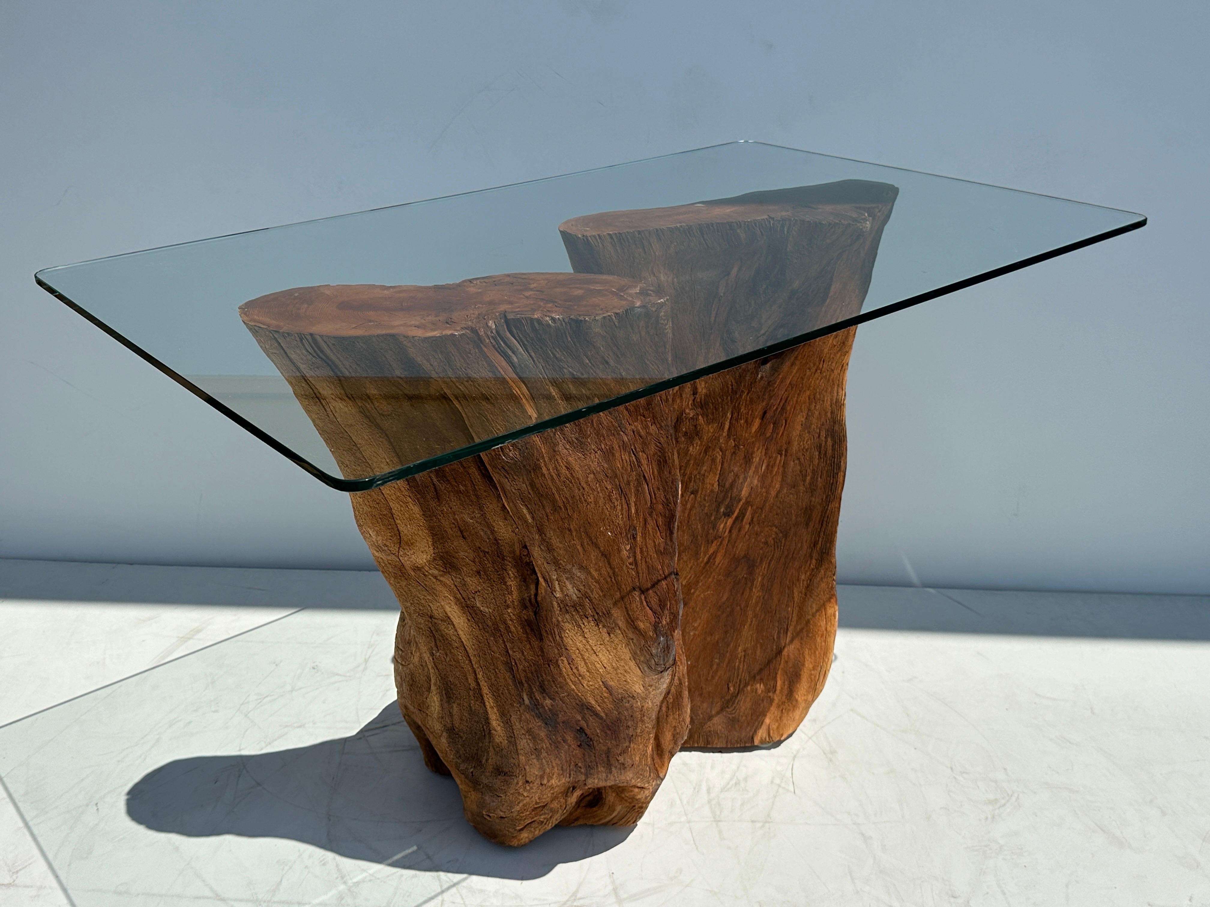 Driftwood Organic Tree Trunk / Root Console Table For Sale