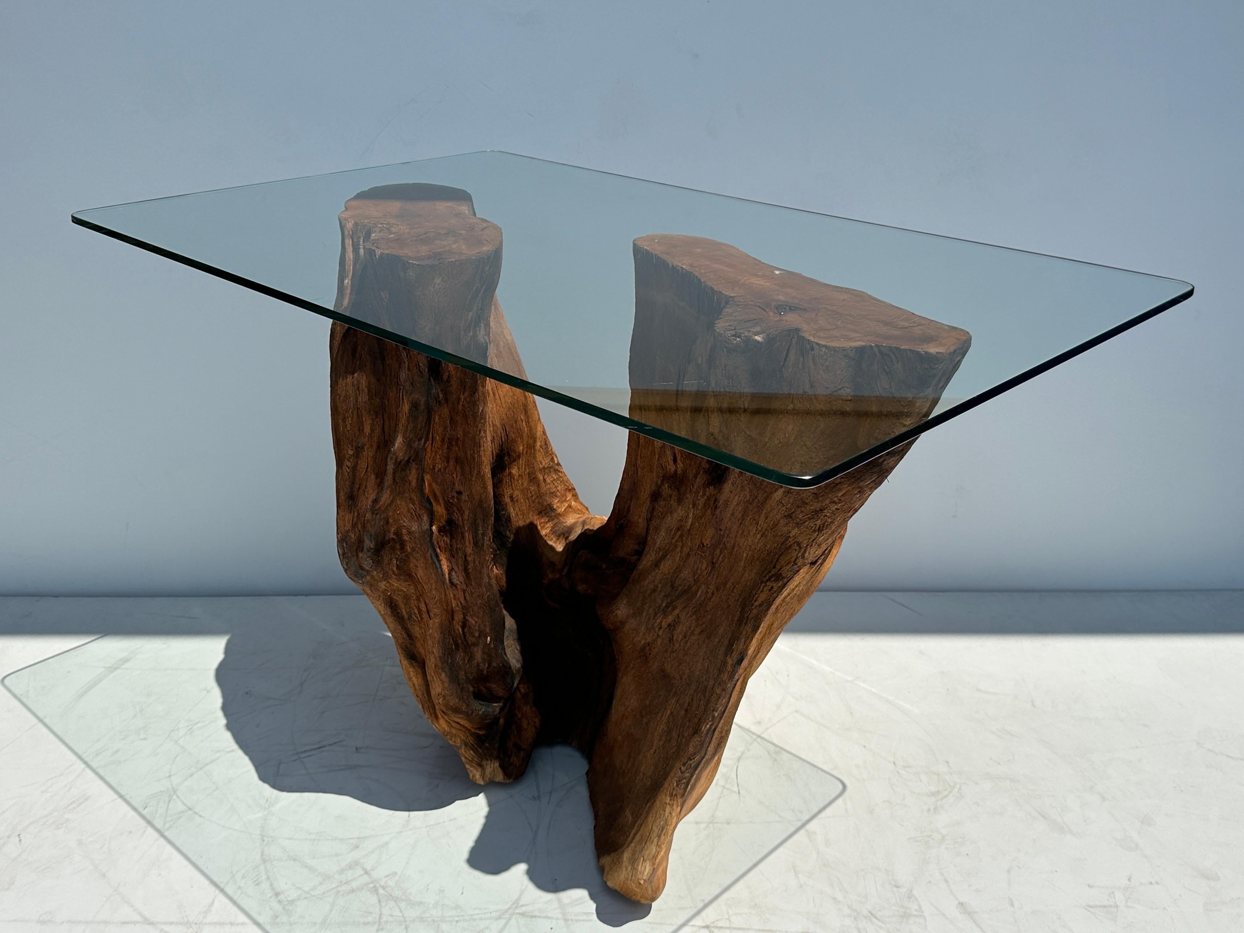 Organic Tree Trunk / Root Console Table For Sale 1