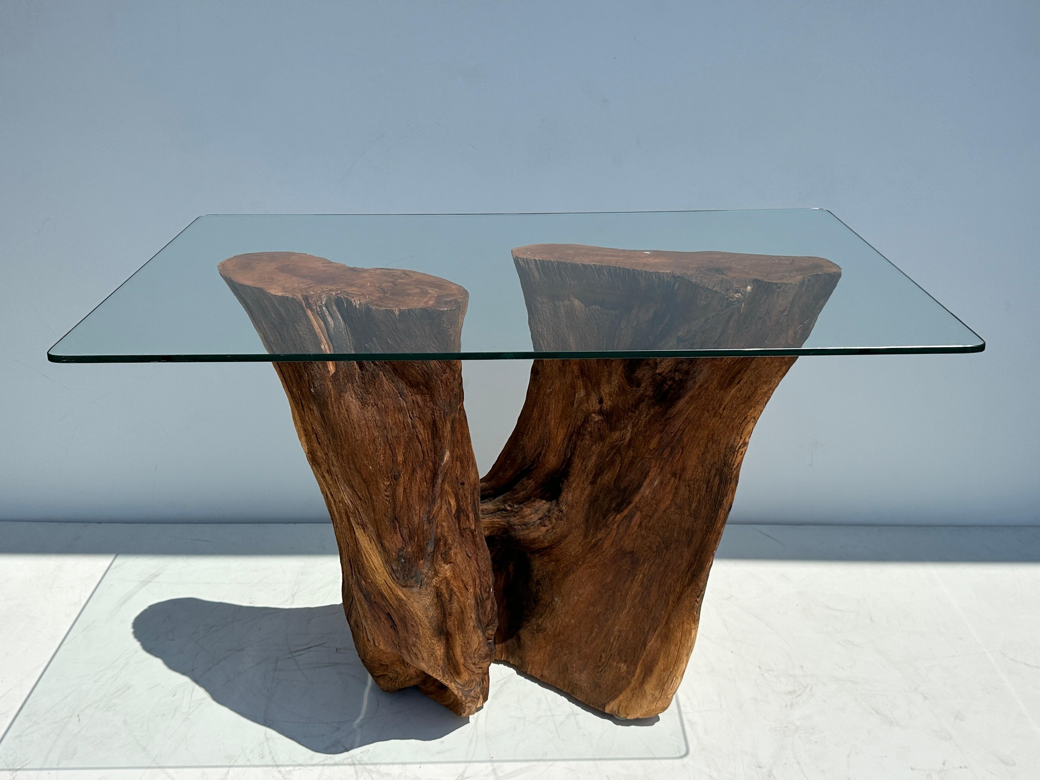 Organic Tree Trunk / Root Console Table For Sale 2
