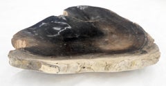 Organic Triangle Shape  Black & Tan Petrified Wood Tray Bowl Dish Plate Ashtray