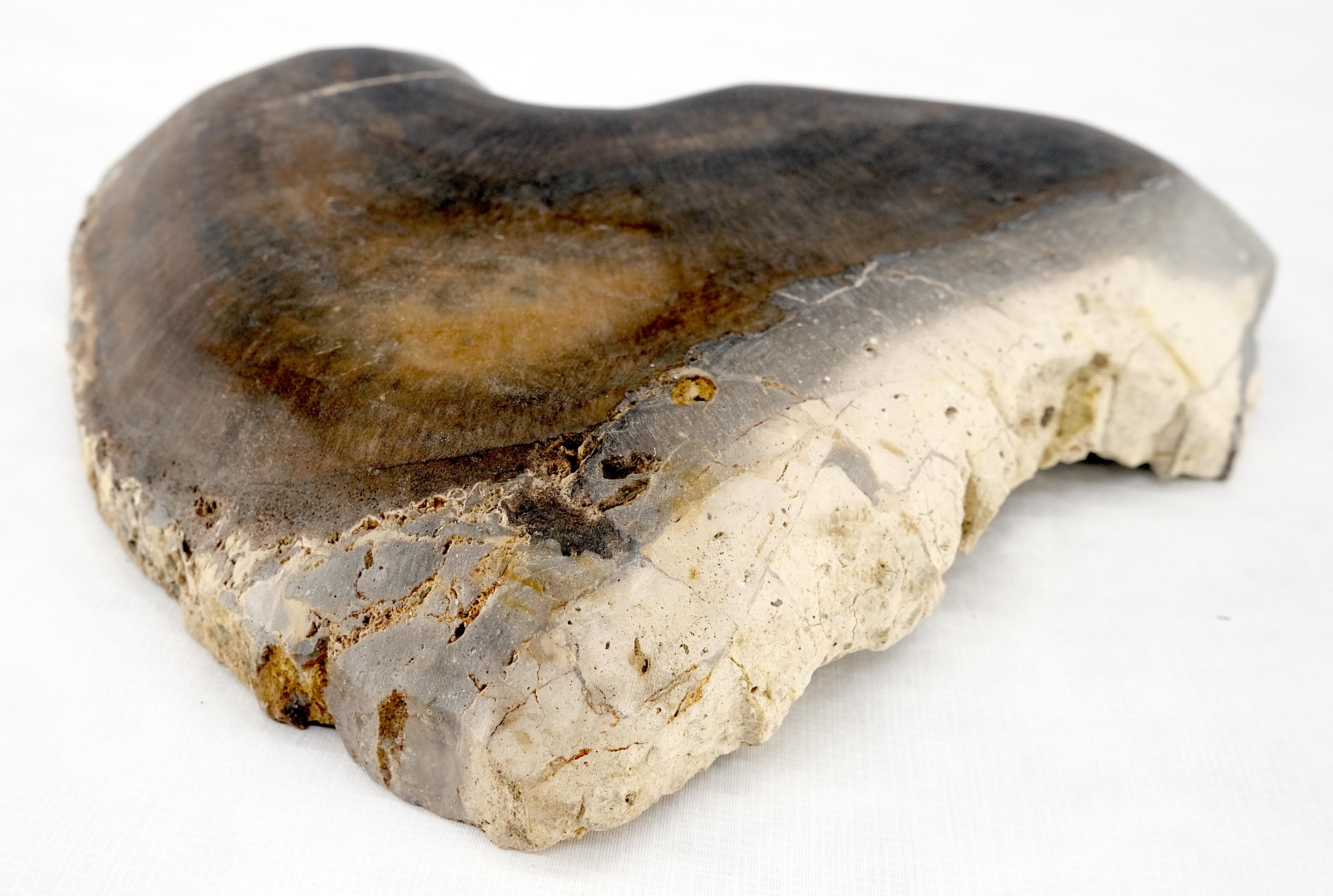 Forma triangular orgánica  Bandeja de madera petrificada negro y tostado Plato Cenicero en Excelente estado para la venta en Rockaway, NJ