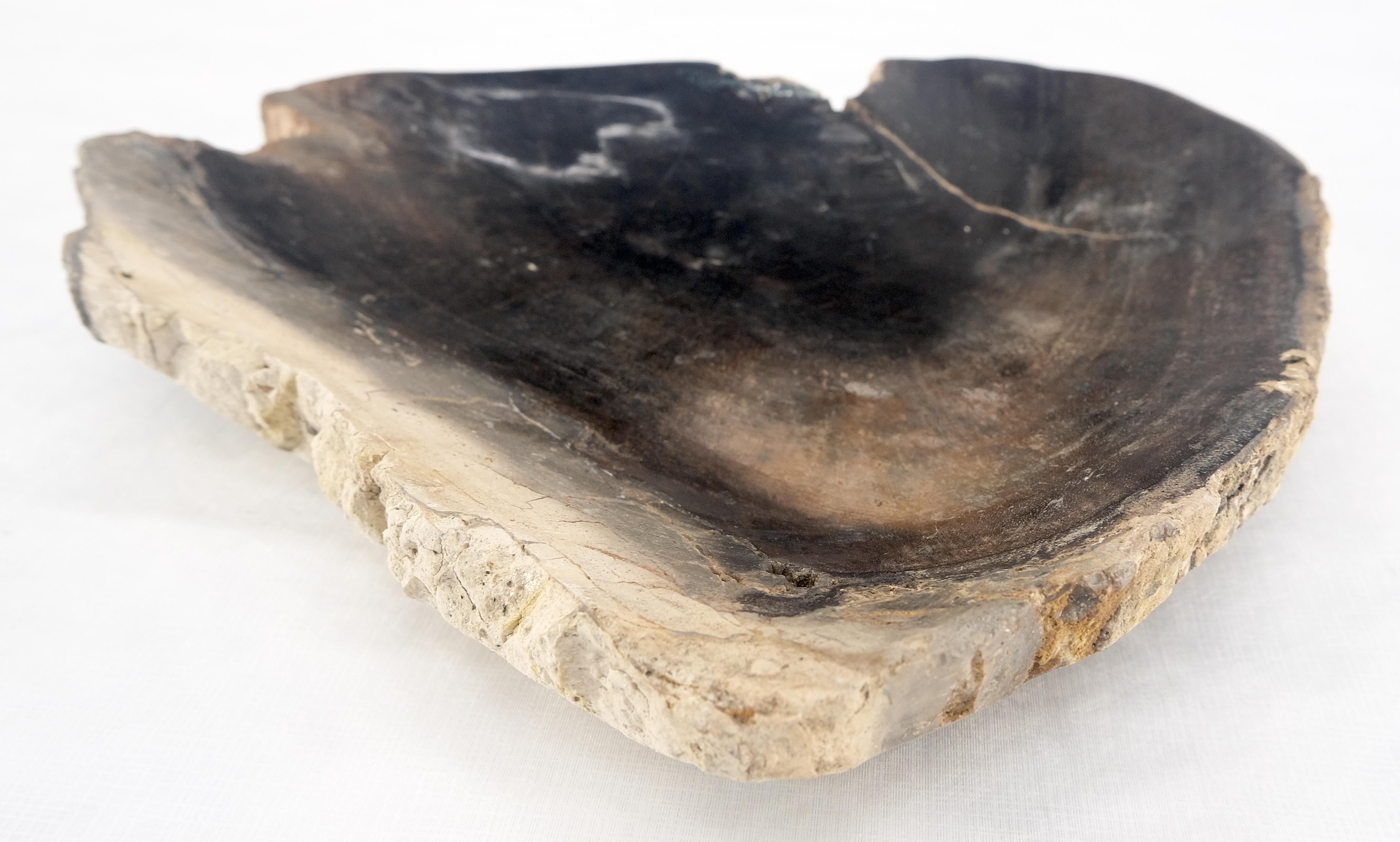 Forma triangular orgánica  Bandeja de madera petrificada negro y tostado Plato Cenicero en venta 1