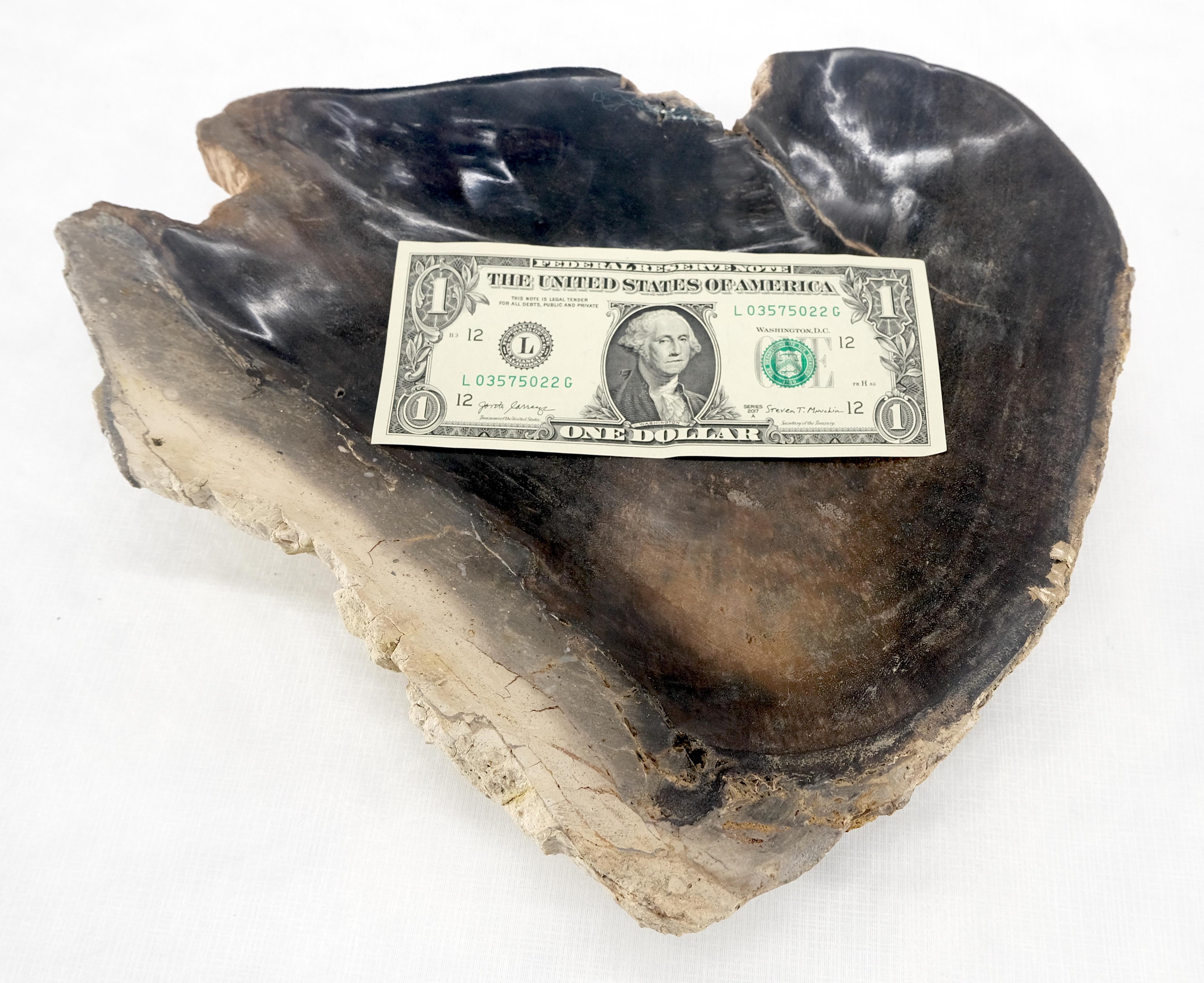 Forma triangular orgánica  Bandeja de madera petrificada negro y tostado Plato Cenicero en venta 2