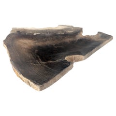 Vintage Organic Triangle Shape Black & Tan Petrified Wood Tray Bowl Dish Plate Ashtray