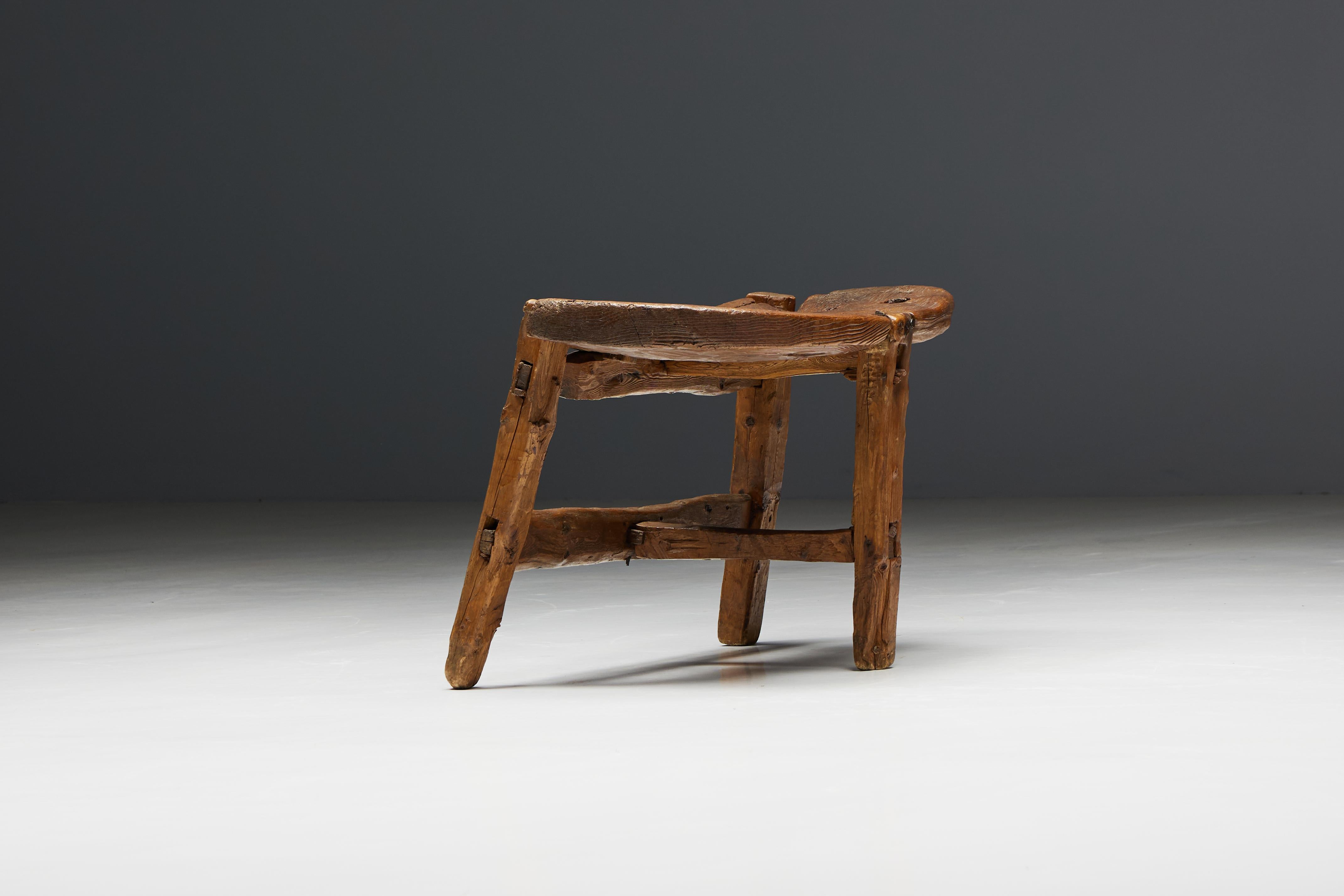 Organic Tripod Bench in Solid Wood, France, 19th Century For Sale 3