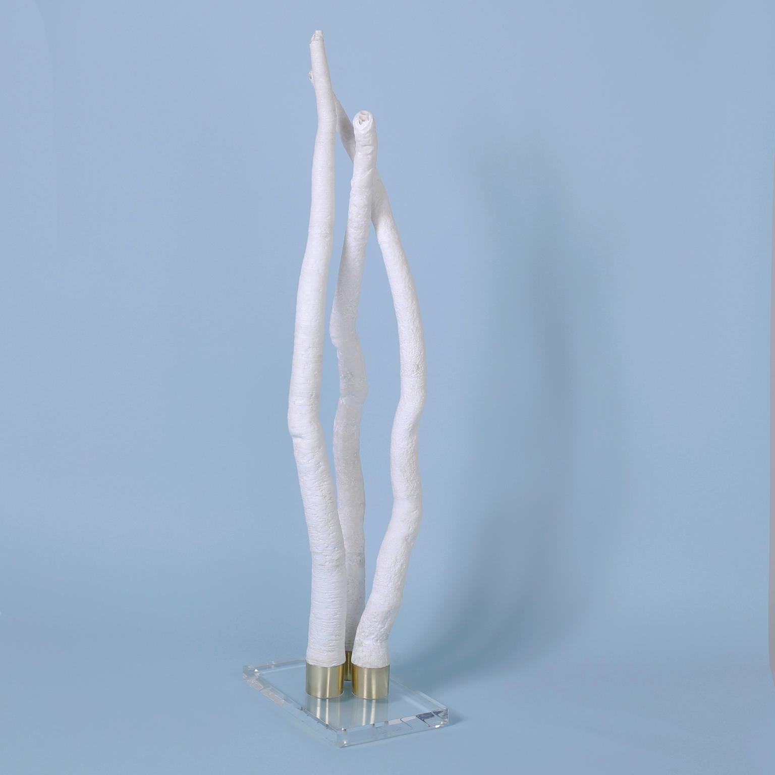 Tall elegant tube shell sculpture designed and executed by F. S. Henemader with a dramatic form and striking bleached white color. Presented on a Lucite base to enhance the sculptural elements.