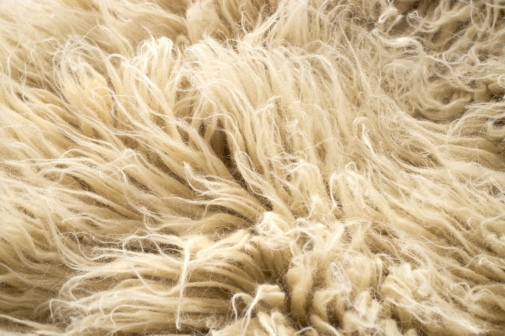 Organic Modern Organic Ukranian Hand Woven Wool Blanket For Sale