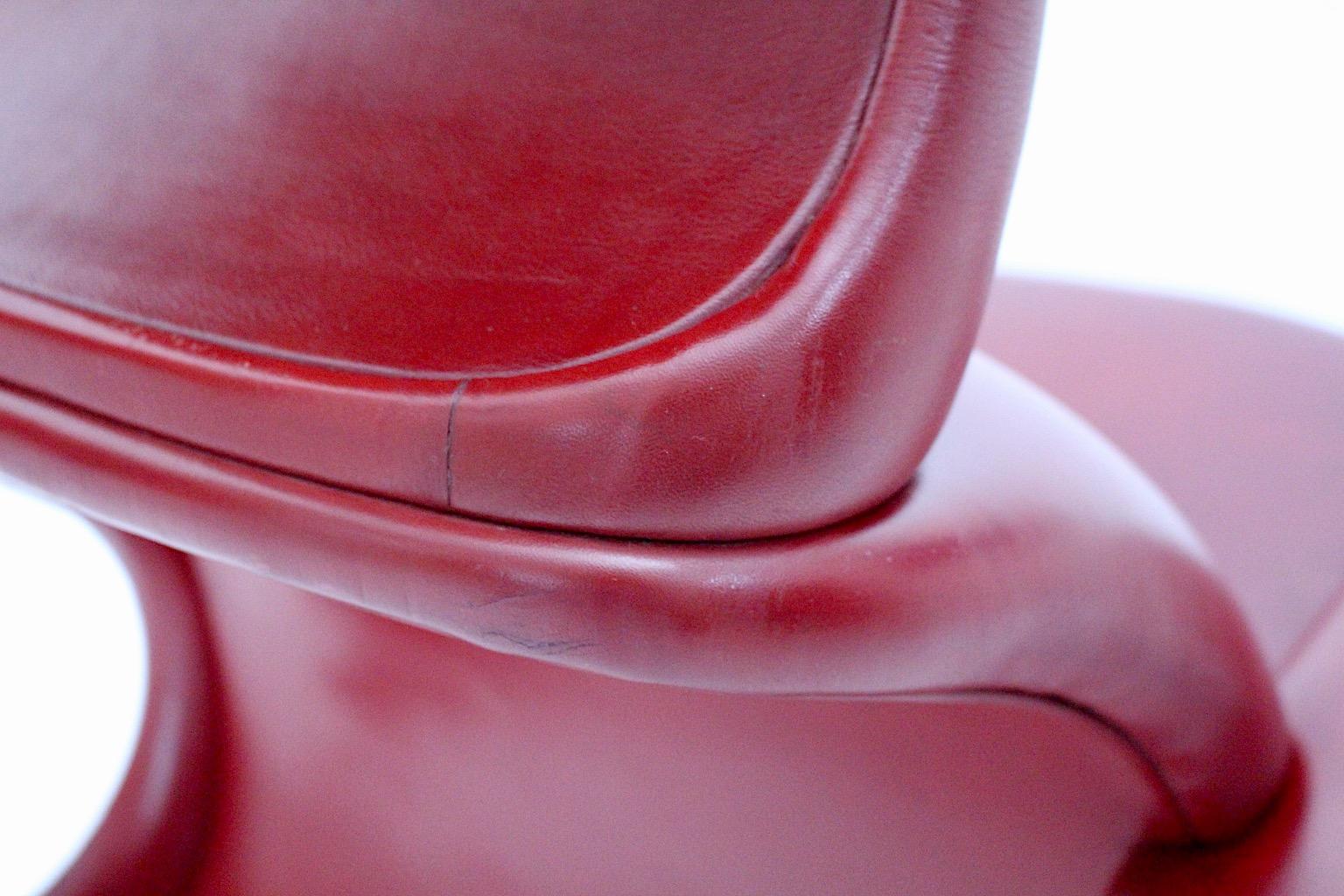 Organic Vintage Sculptural Red Lounge Chair by Achille & Piero Castiglioni 1960s For Sale 6