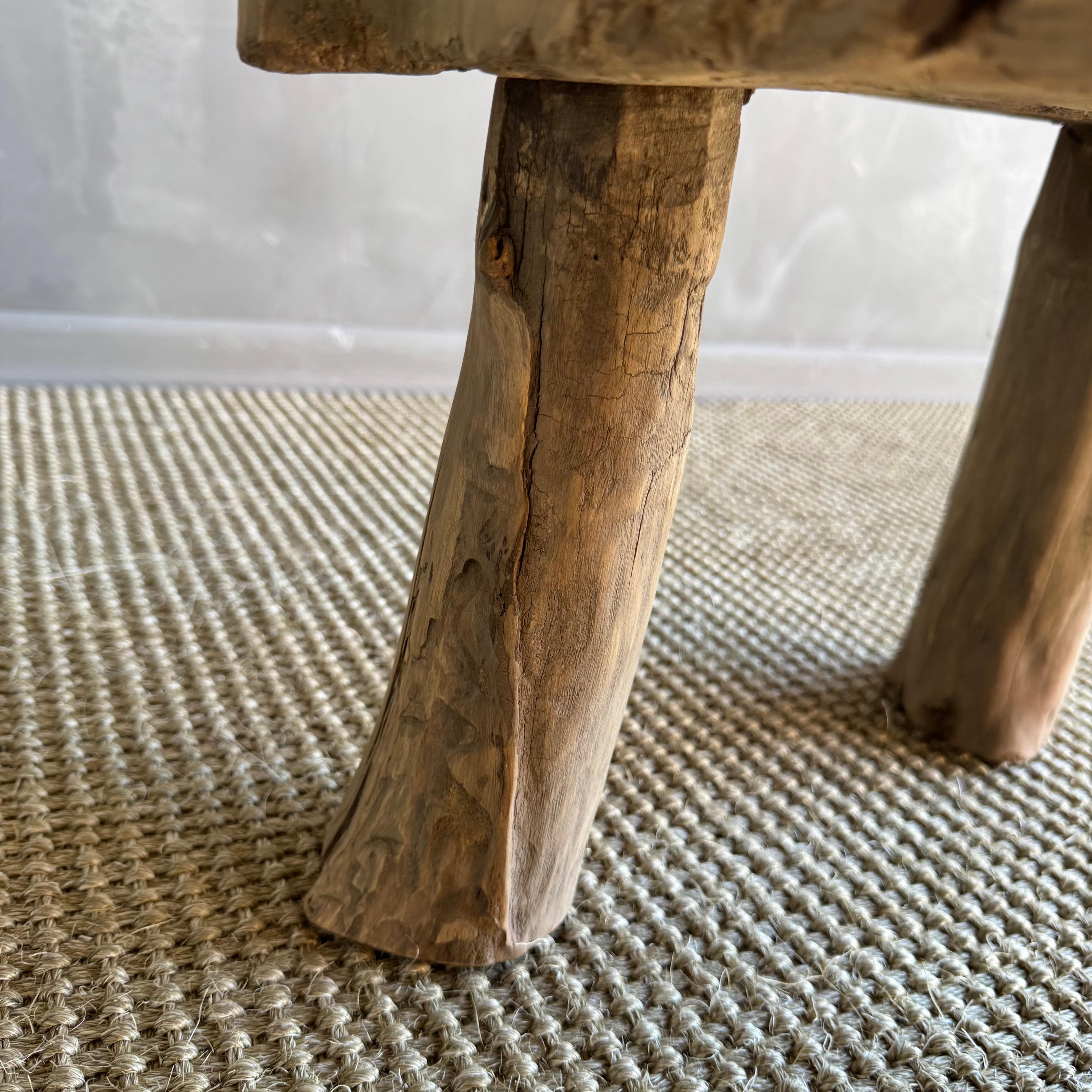 Organic Wabi Sabi Elm Wood Slice Stump Table 1