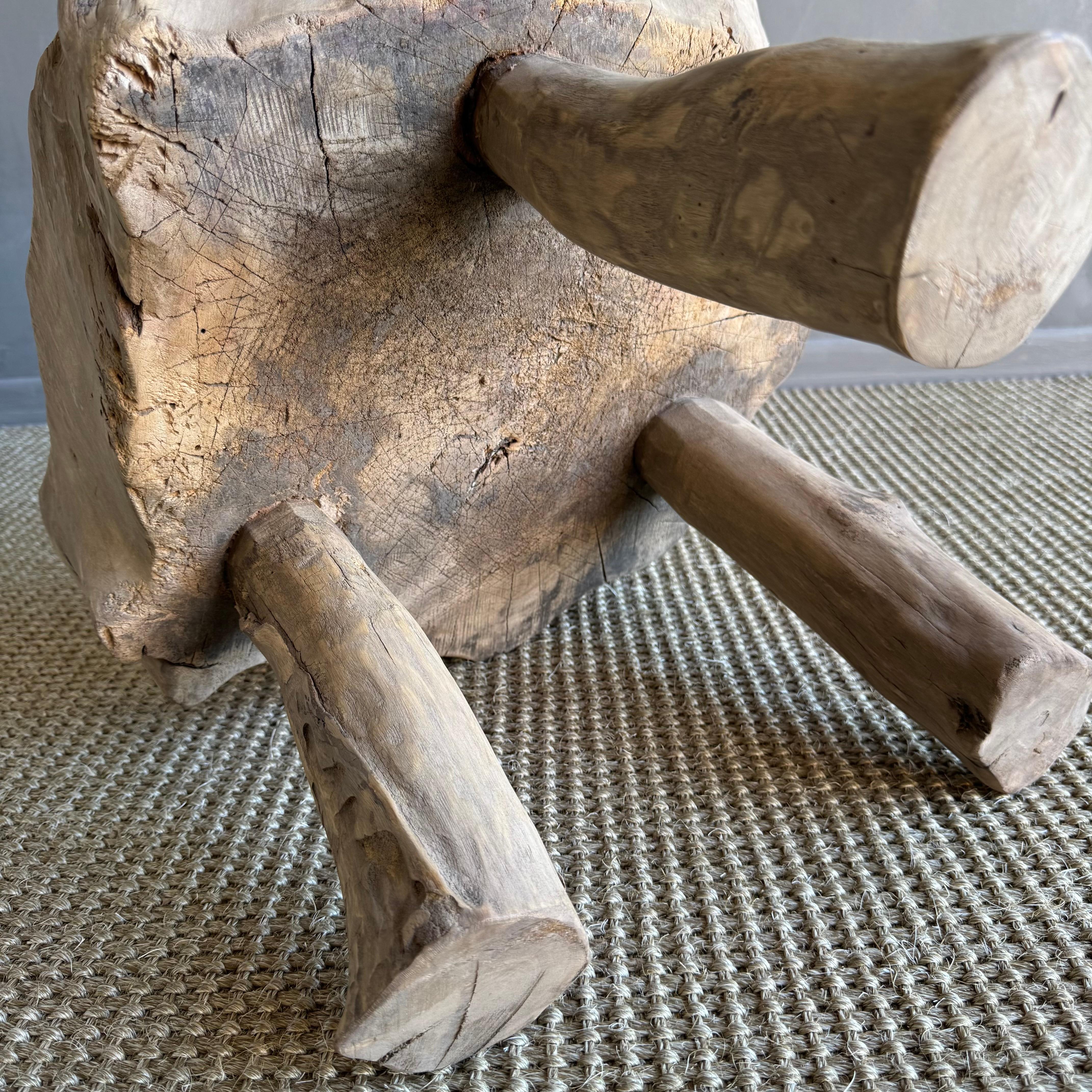 Organic Wabi Sabi Elm Wood Slice Stump Table 2
