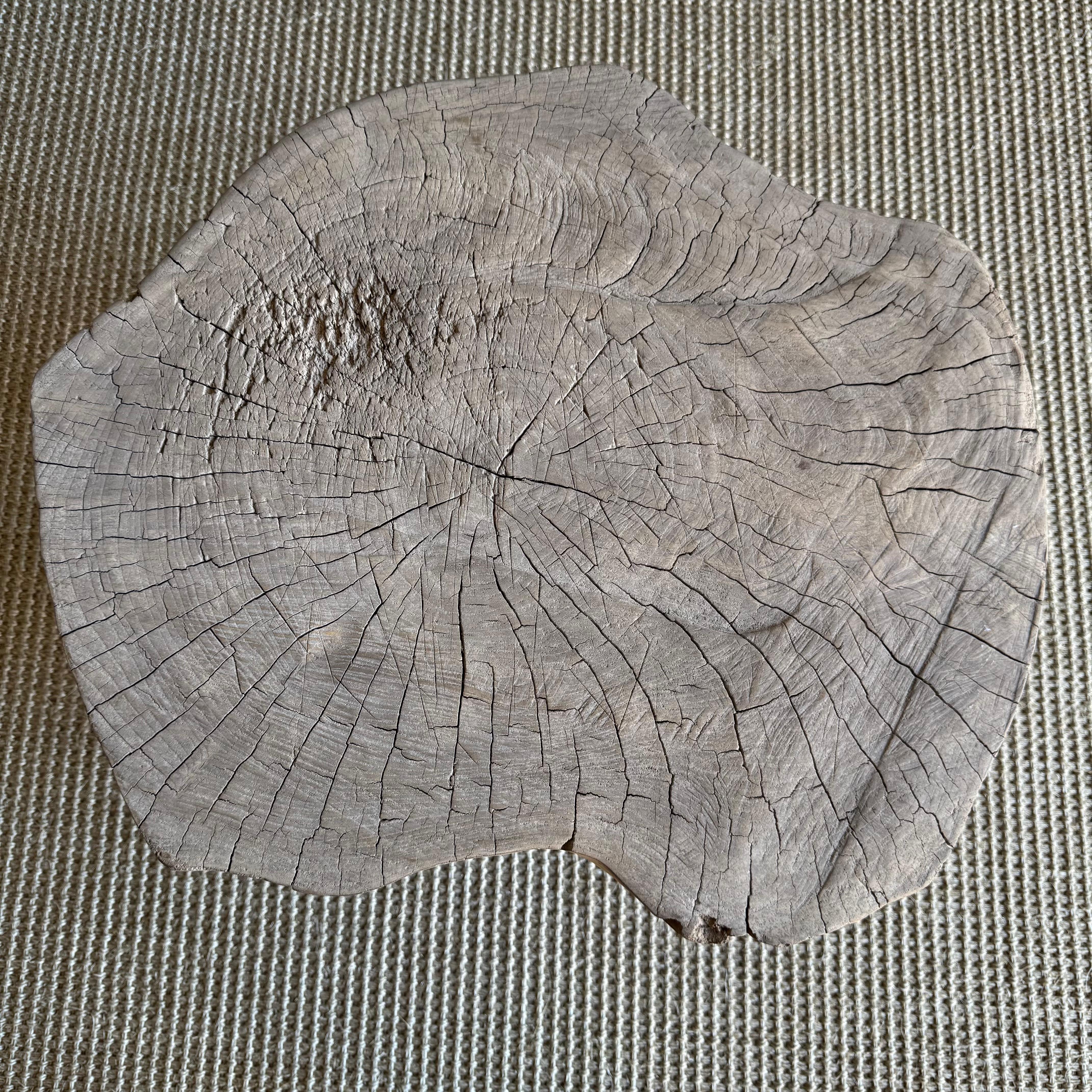 Organic Wabi Sabi Slice Accent Table or Stool In Good Condition In Old Town Orange, CA