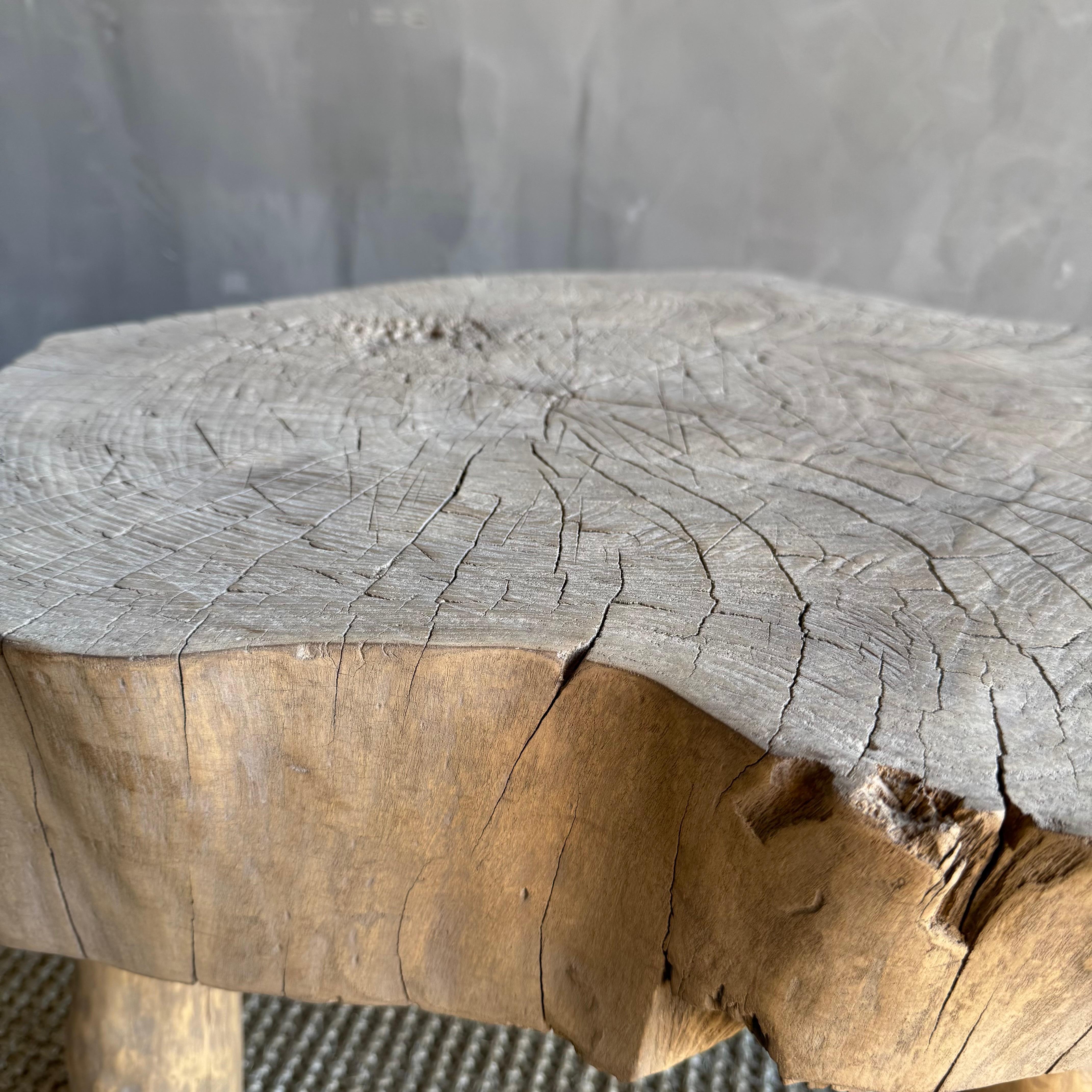 20th Century Organic Wabi Sabi Slice Accent Table or Stool