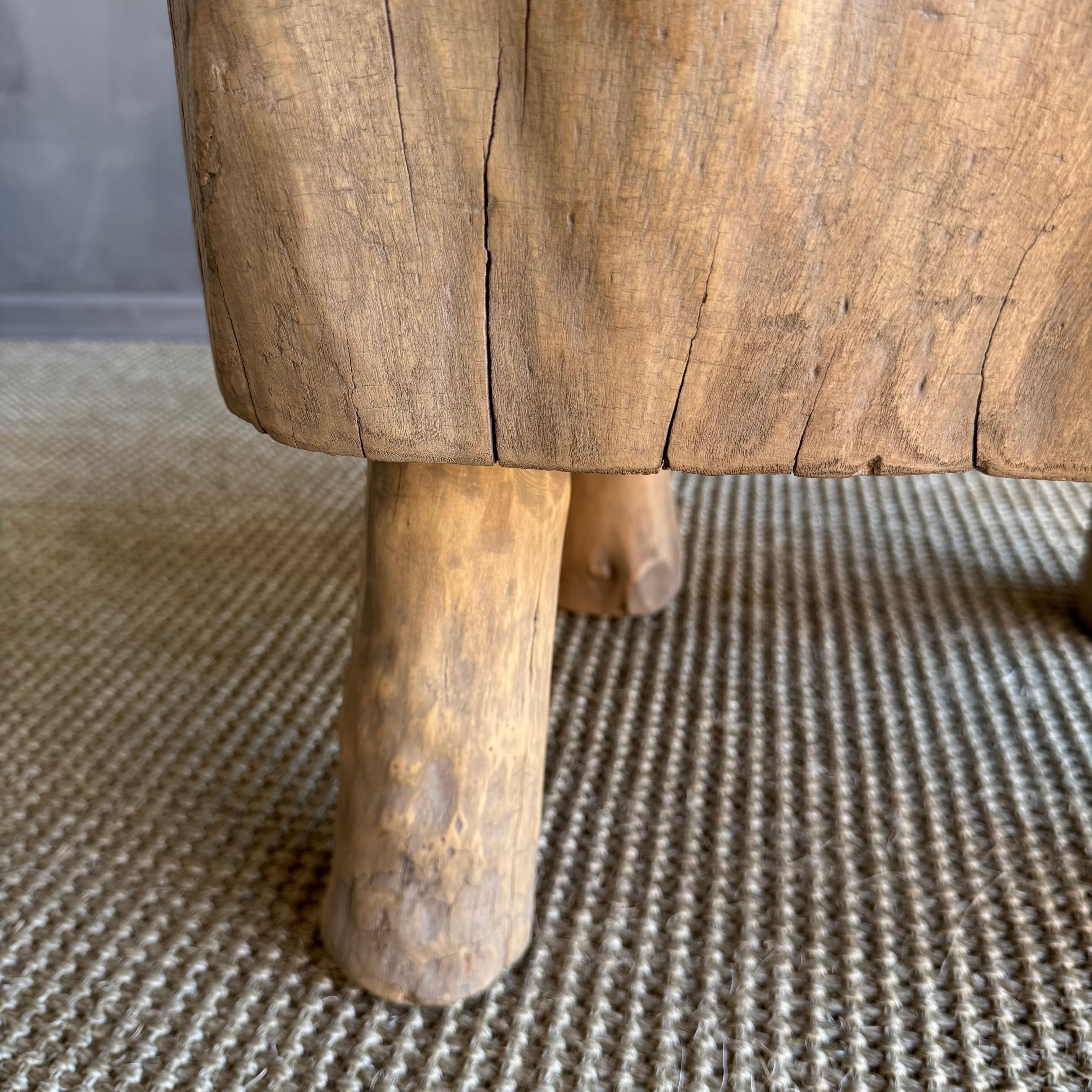 Wood Organic Wabi Sabi Slice Accent Table or Stool
